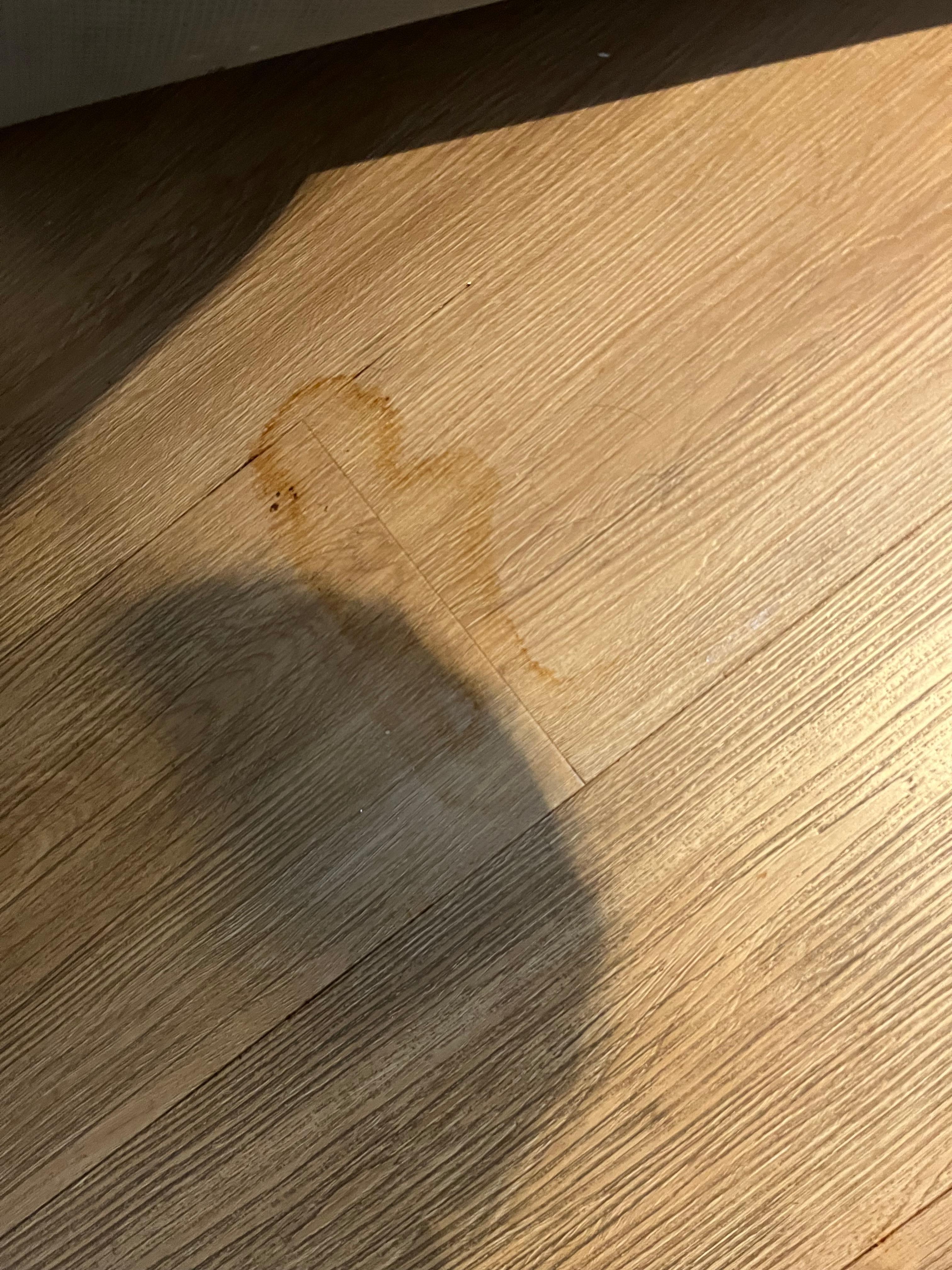 Rusty Water stains on floor