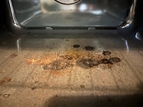 Filthy oven - did not use!