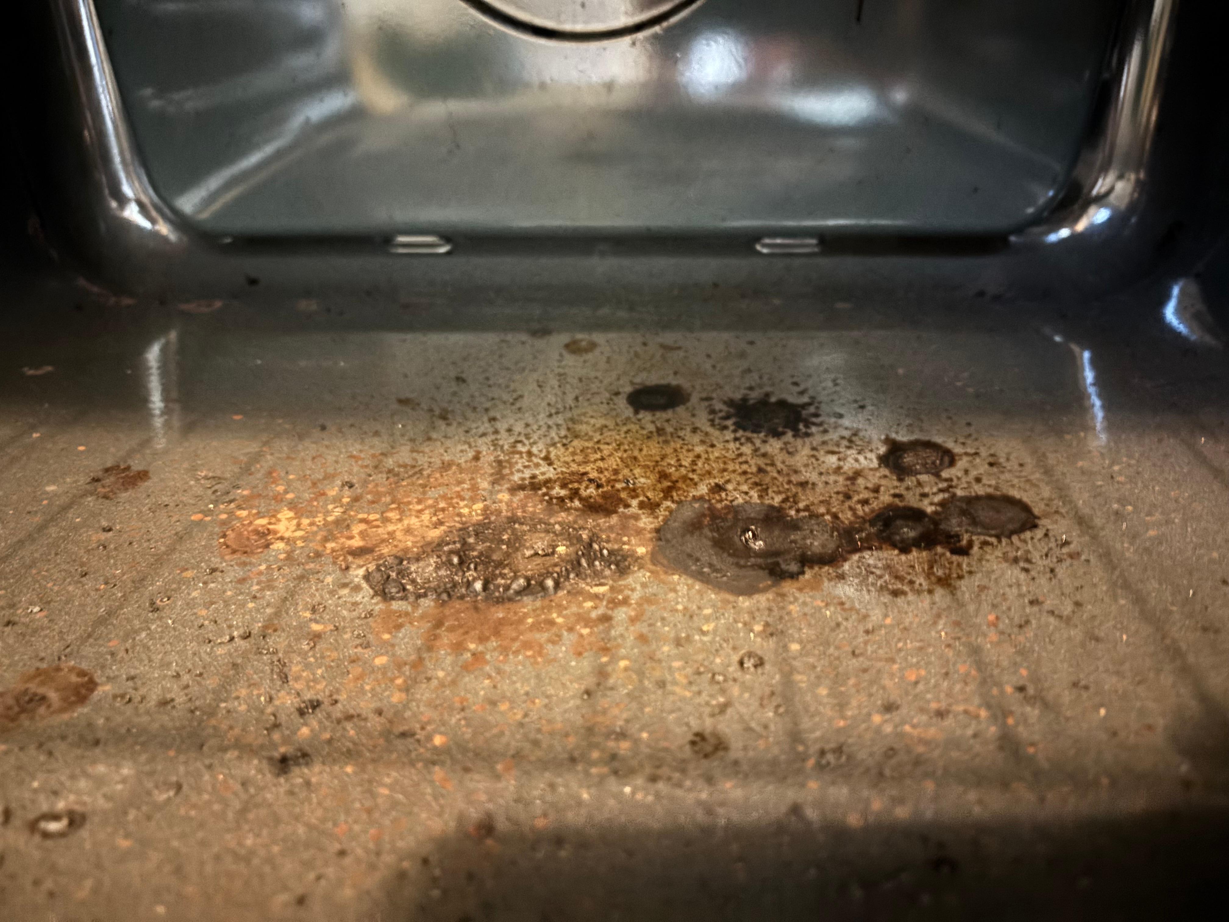 Filthy oven - did not use!