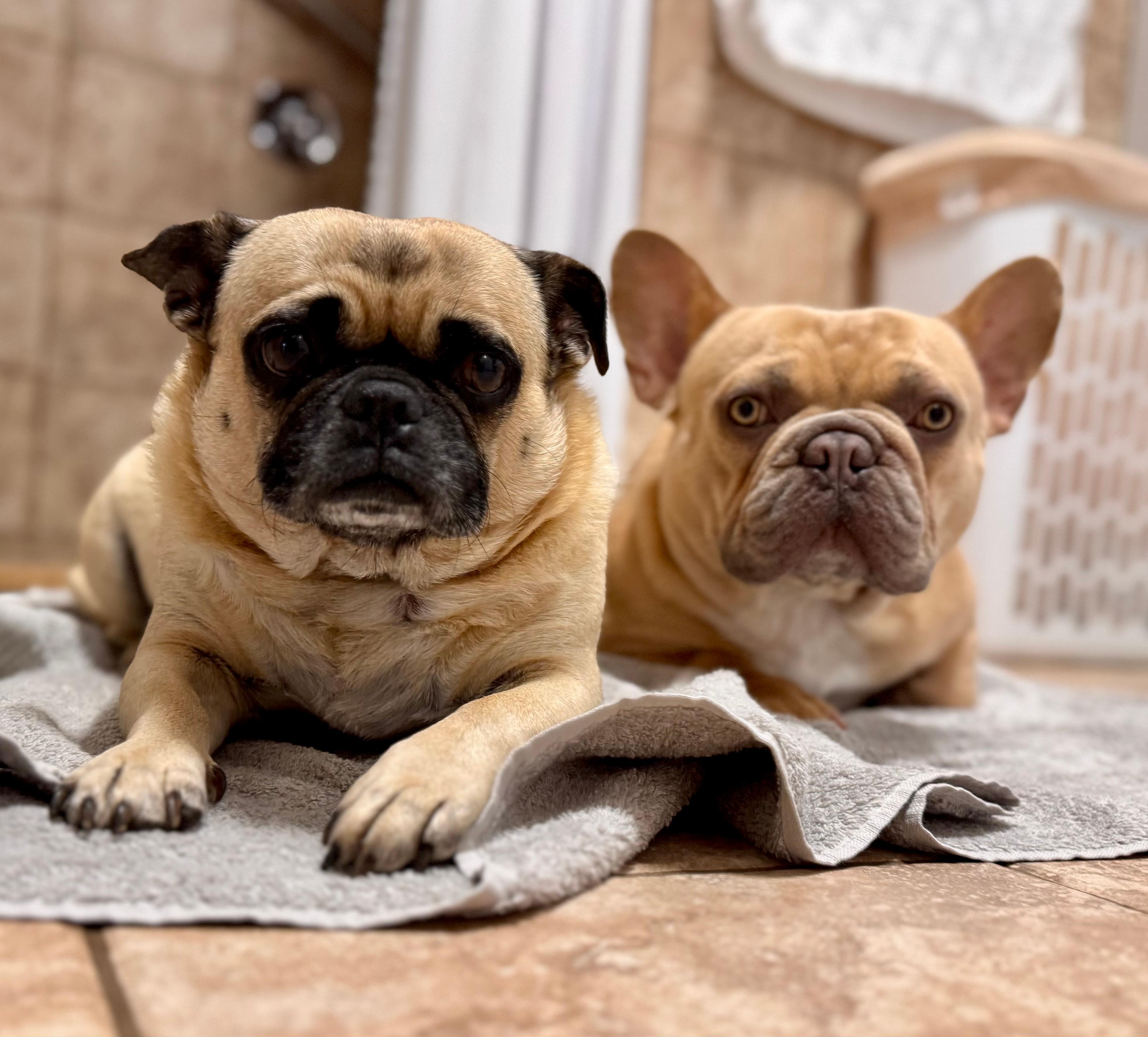 HUGE SHOWER with 2 heads. You could fit your whole family in here. 