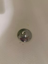 Close-up picture of the drain in the Jacuzzi  that was unclean and disgusting