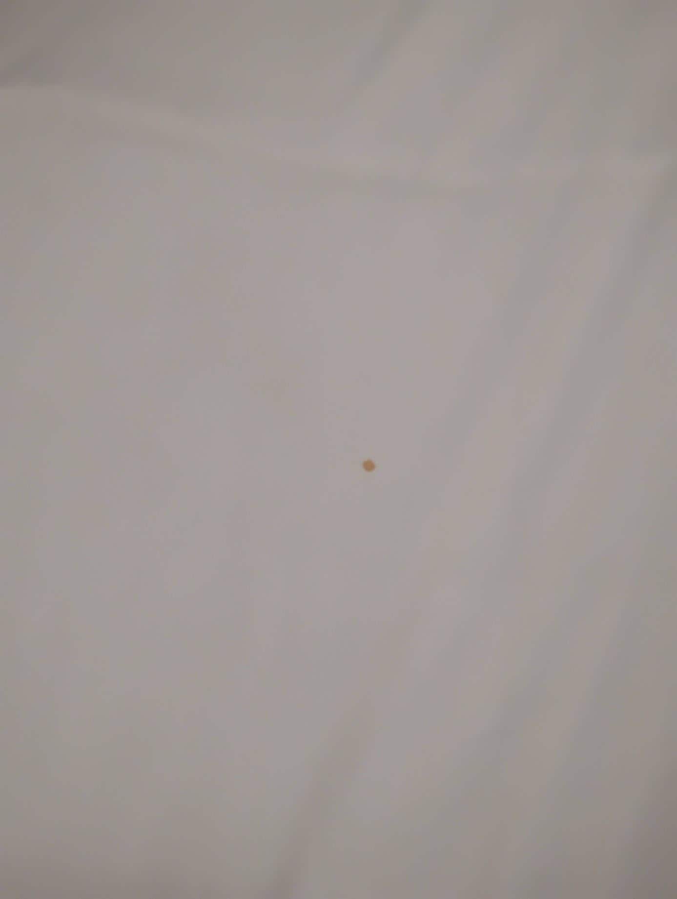 a blood stain on the bed by the window
