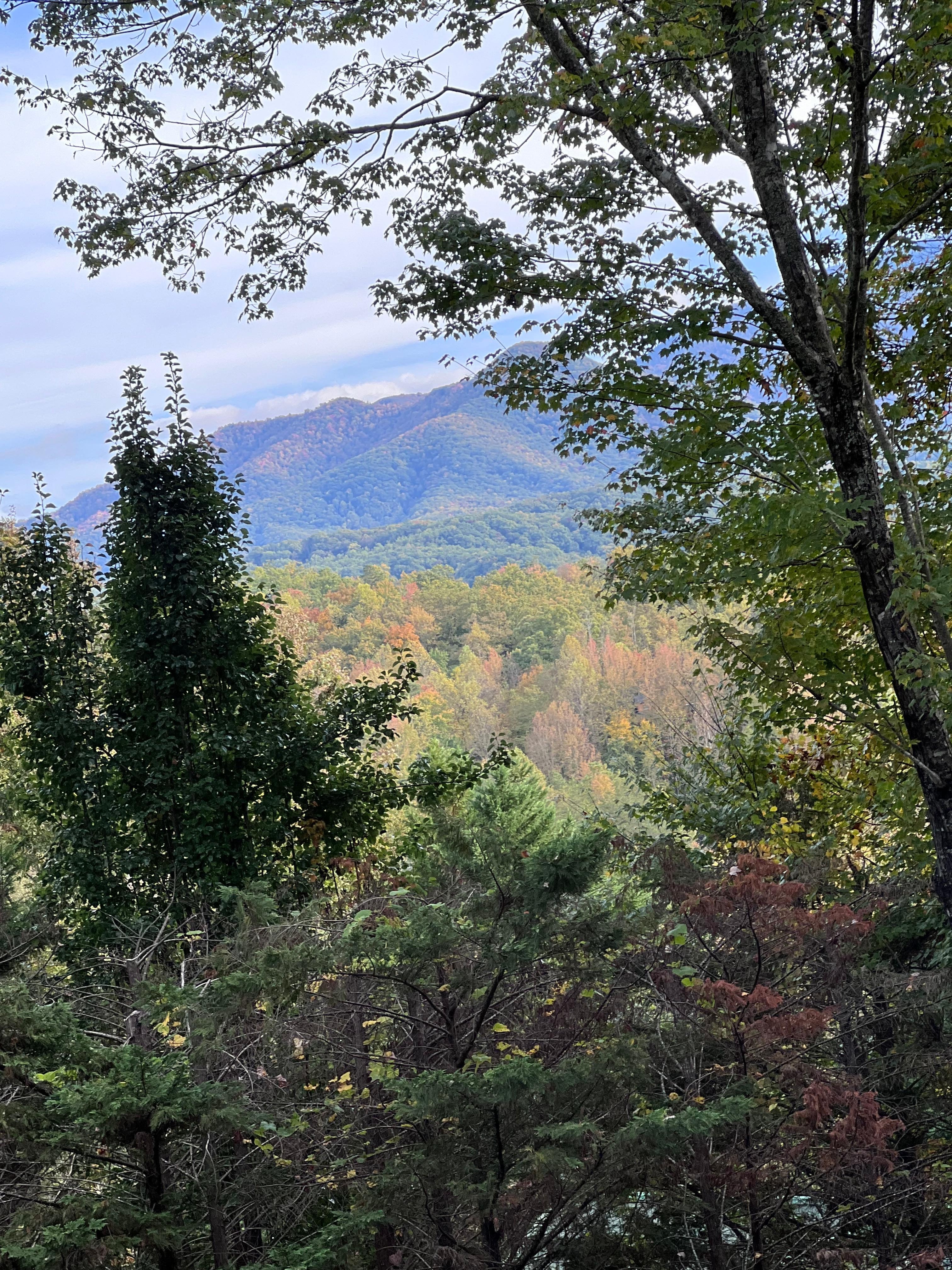 Afternoon we arrived