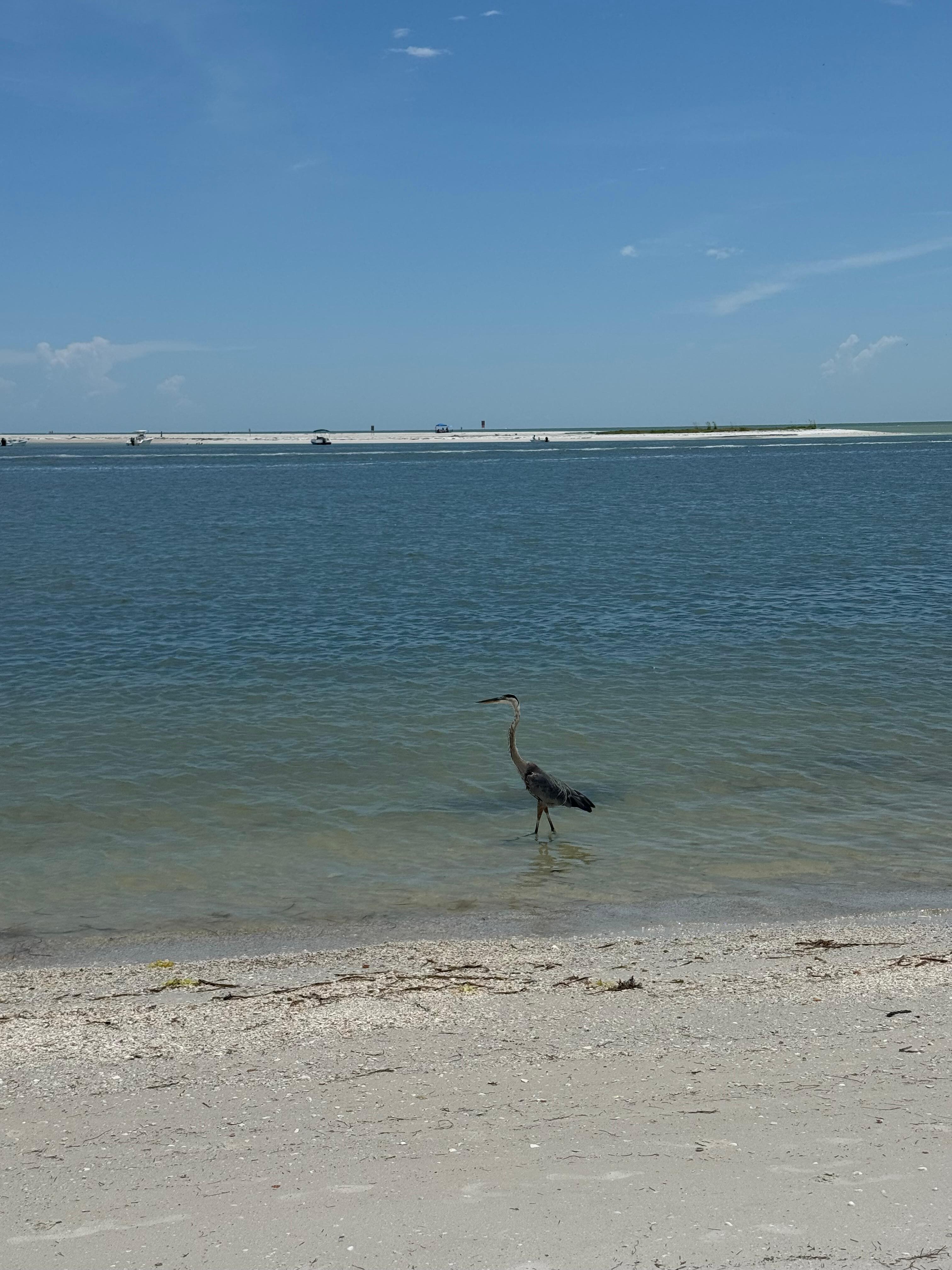 At Shell Key