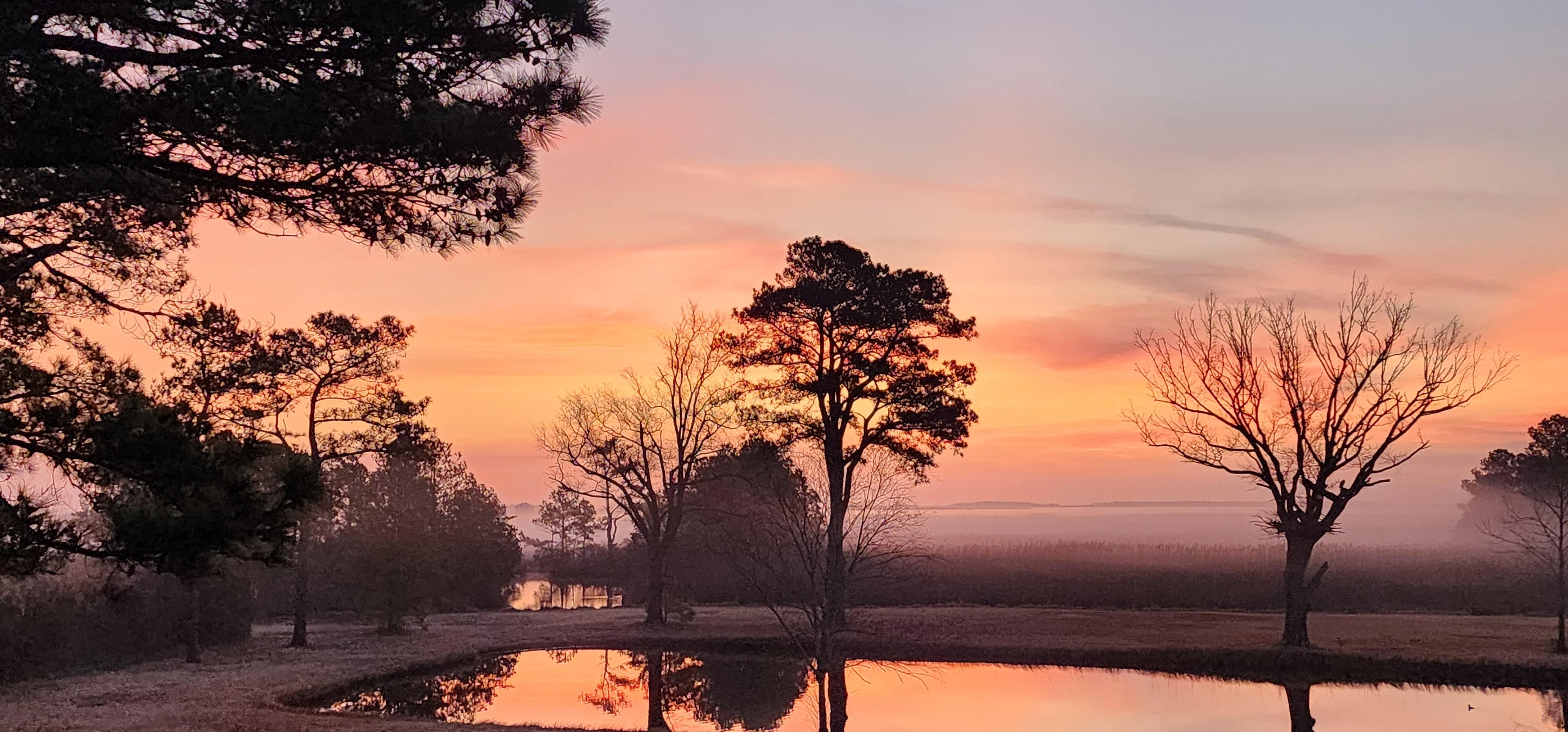 Sunrise over the bay