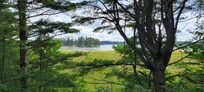 Seney National Wildlife Refuge
