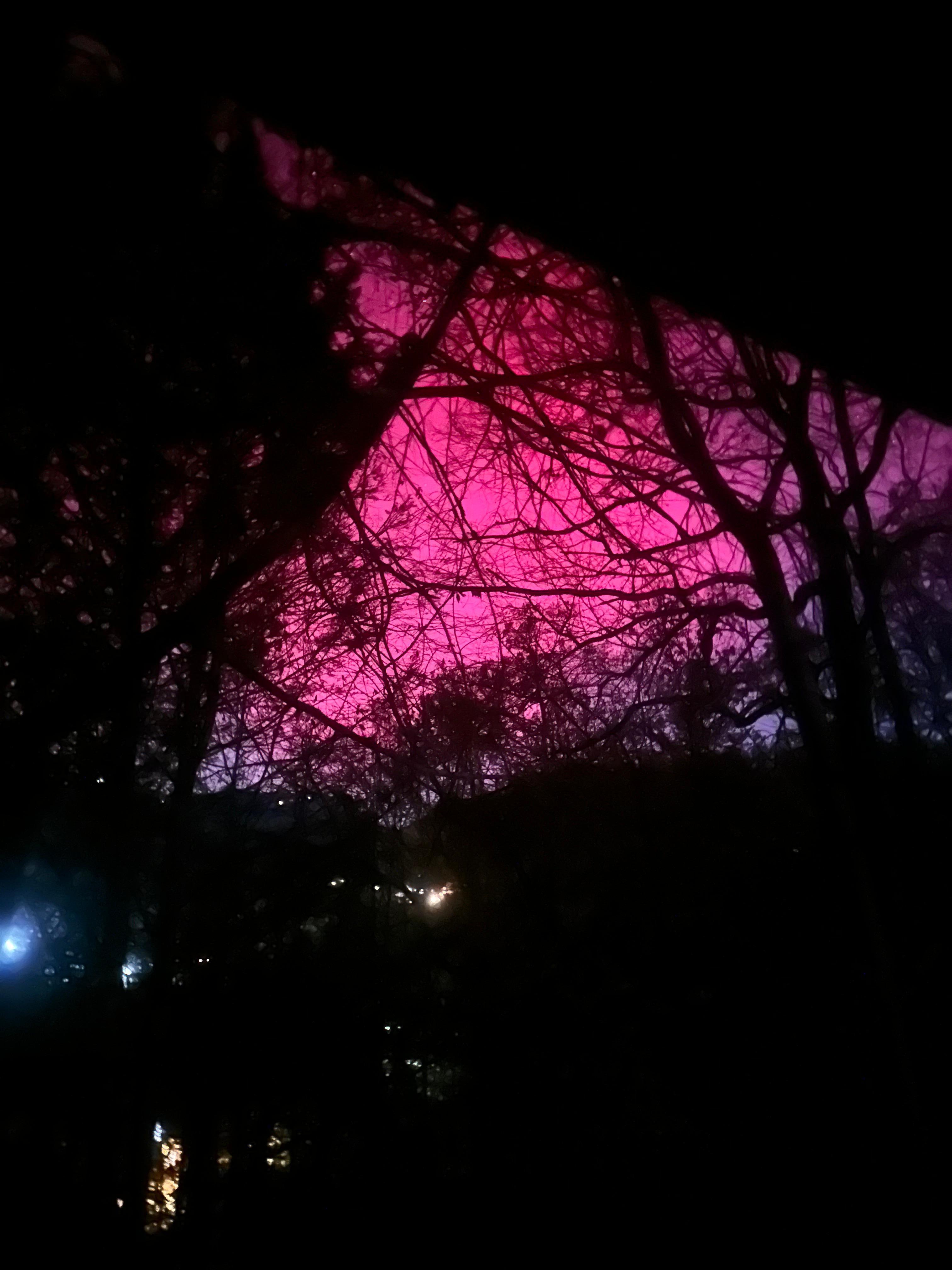 Got to see the northern lights from the porch. 