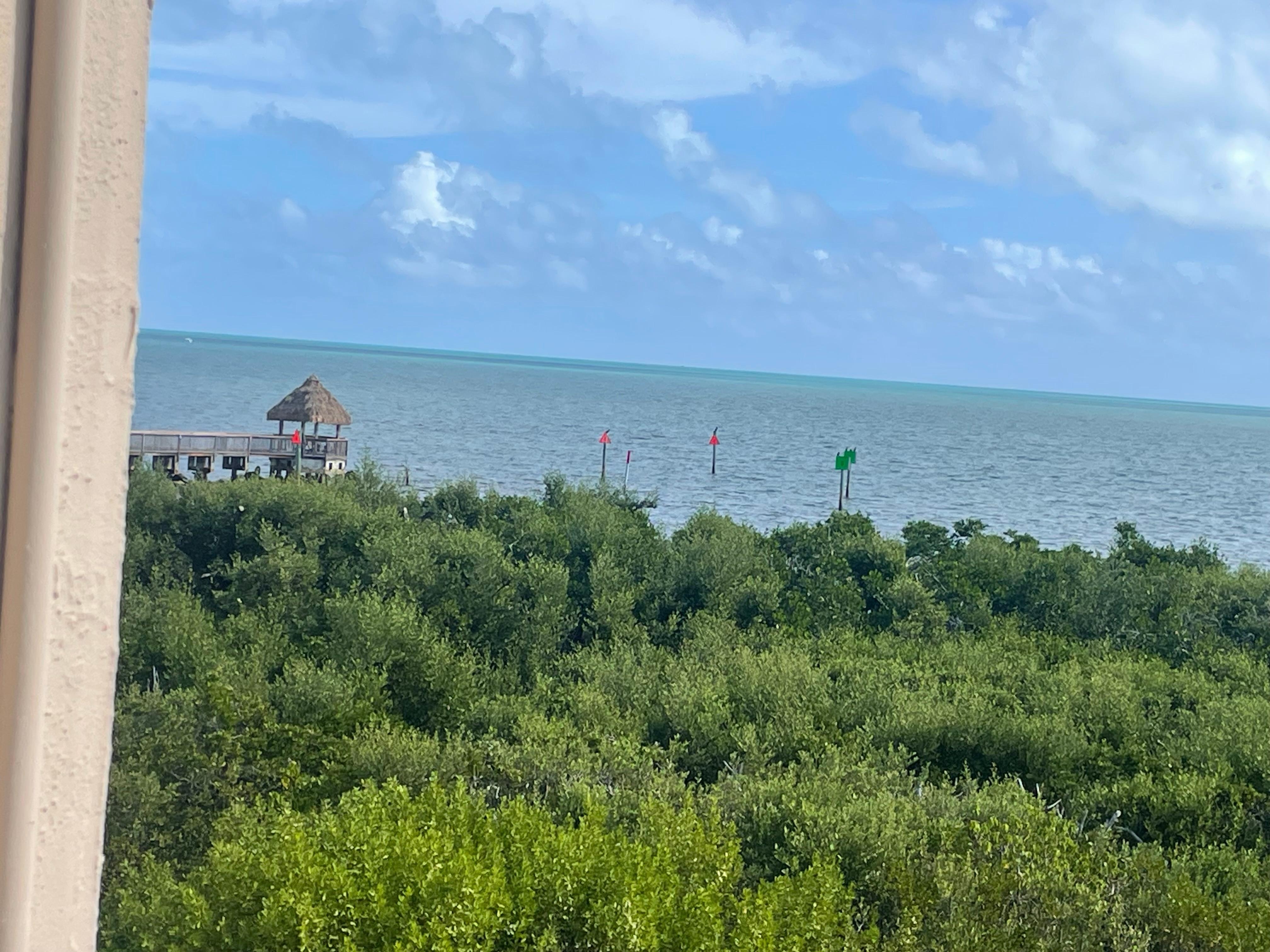Beautiful view from the balcony. 