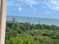 Beautiful view from the balcony.