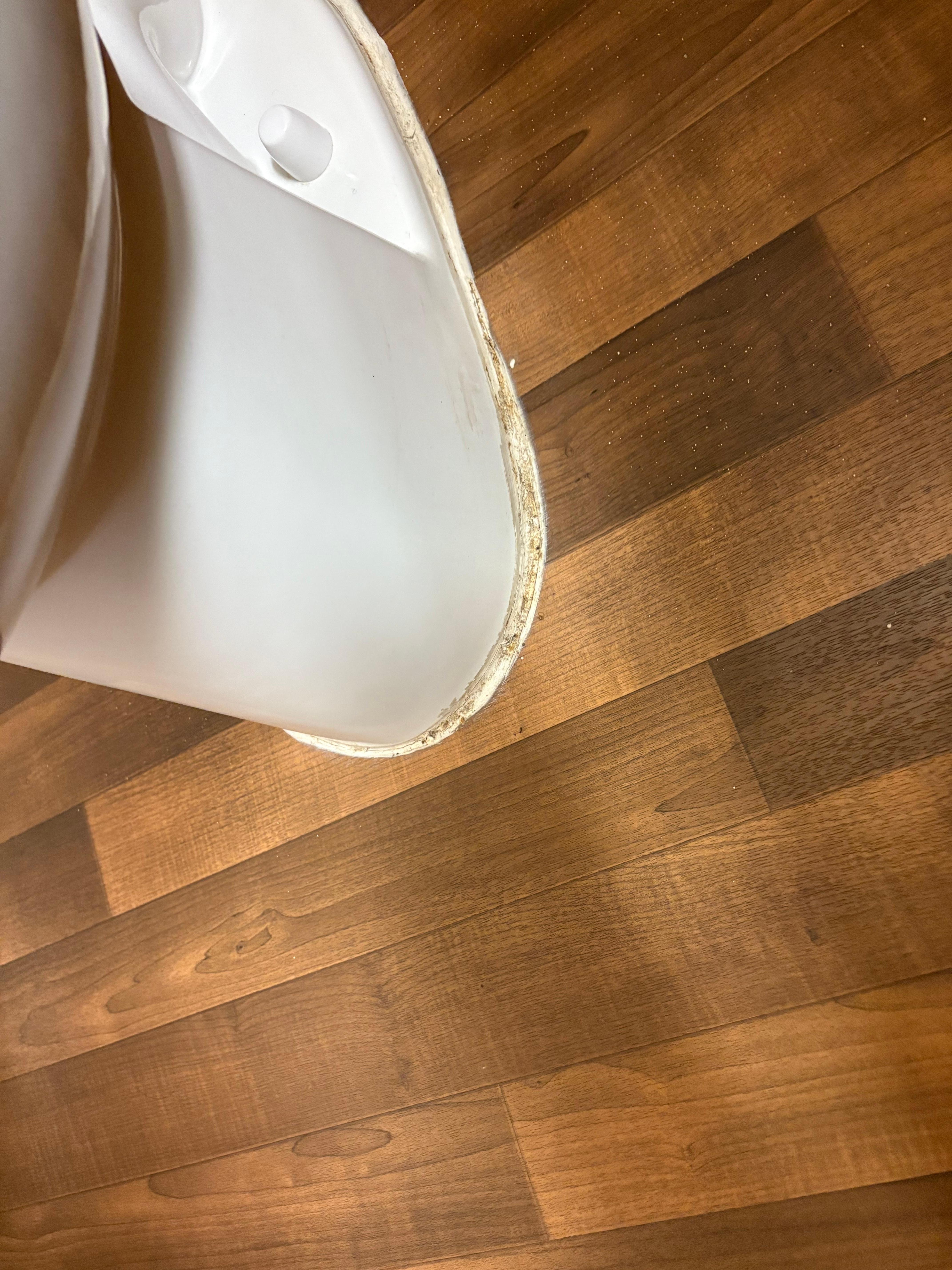 Nasty around bottom of toilet 