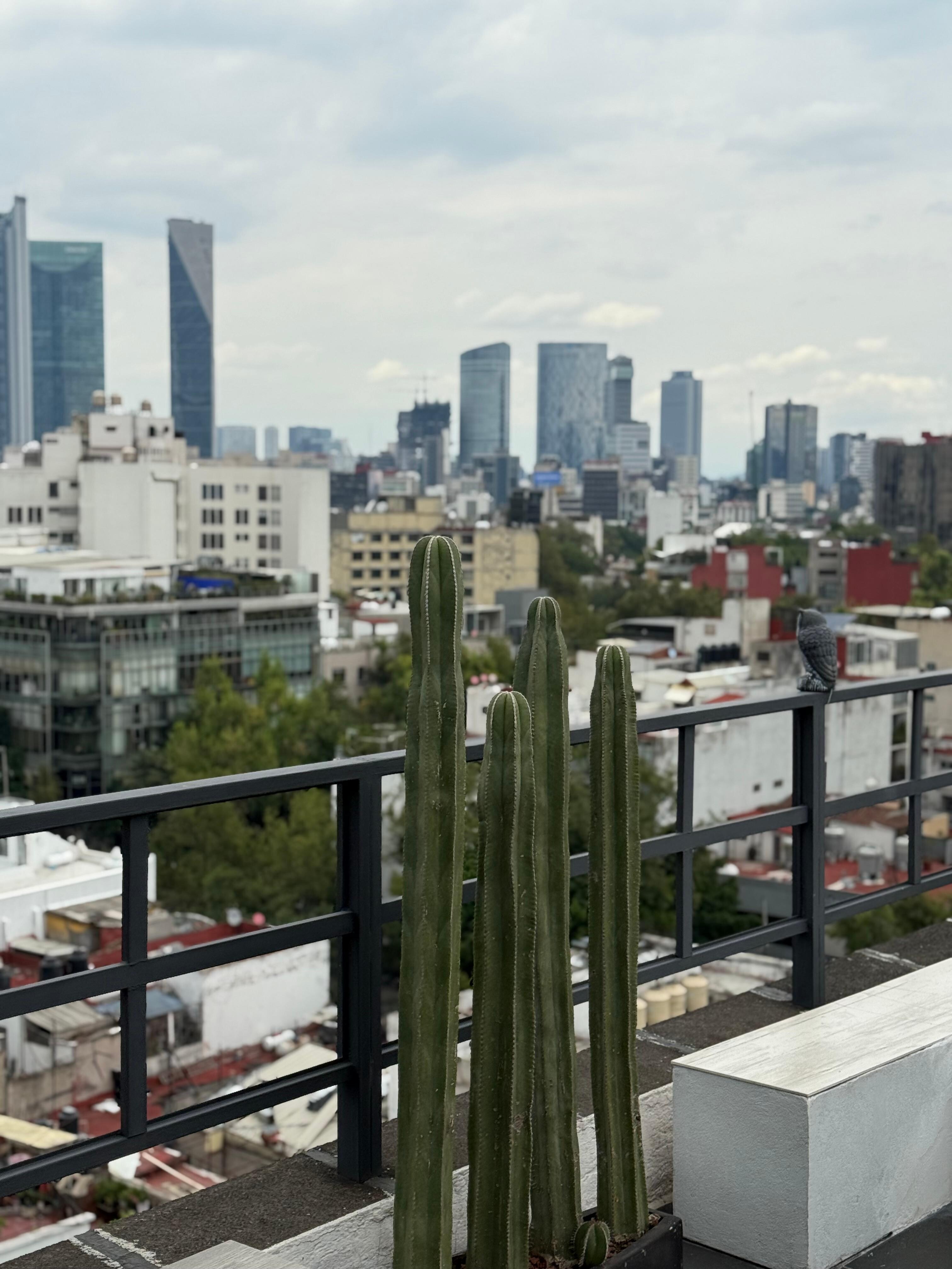 Roof top