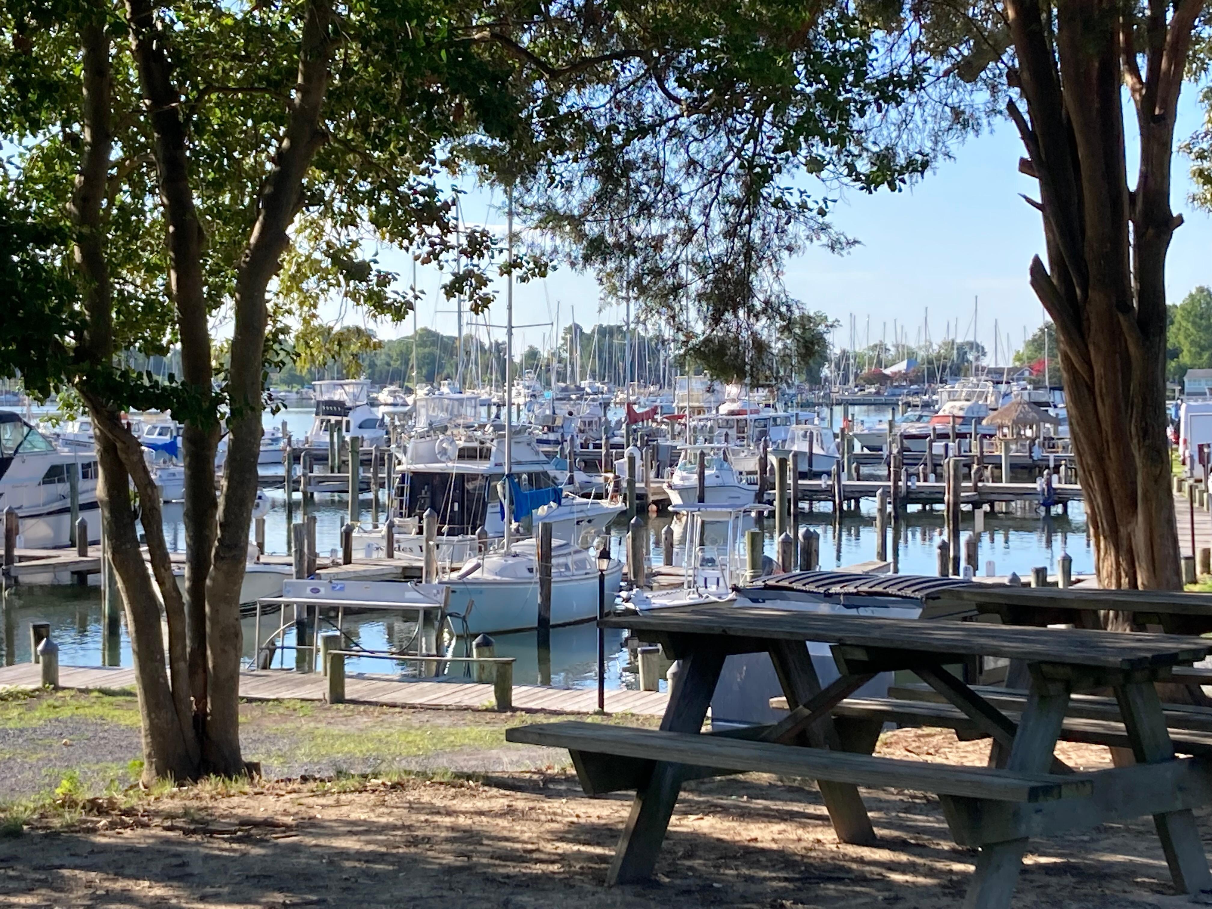 View from the nearby picnic table area.