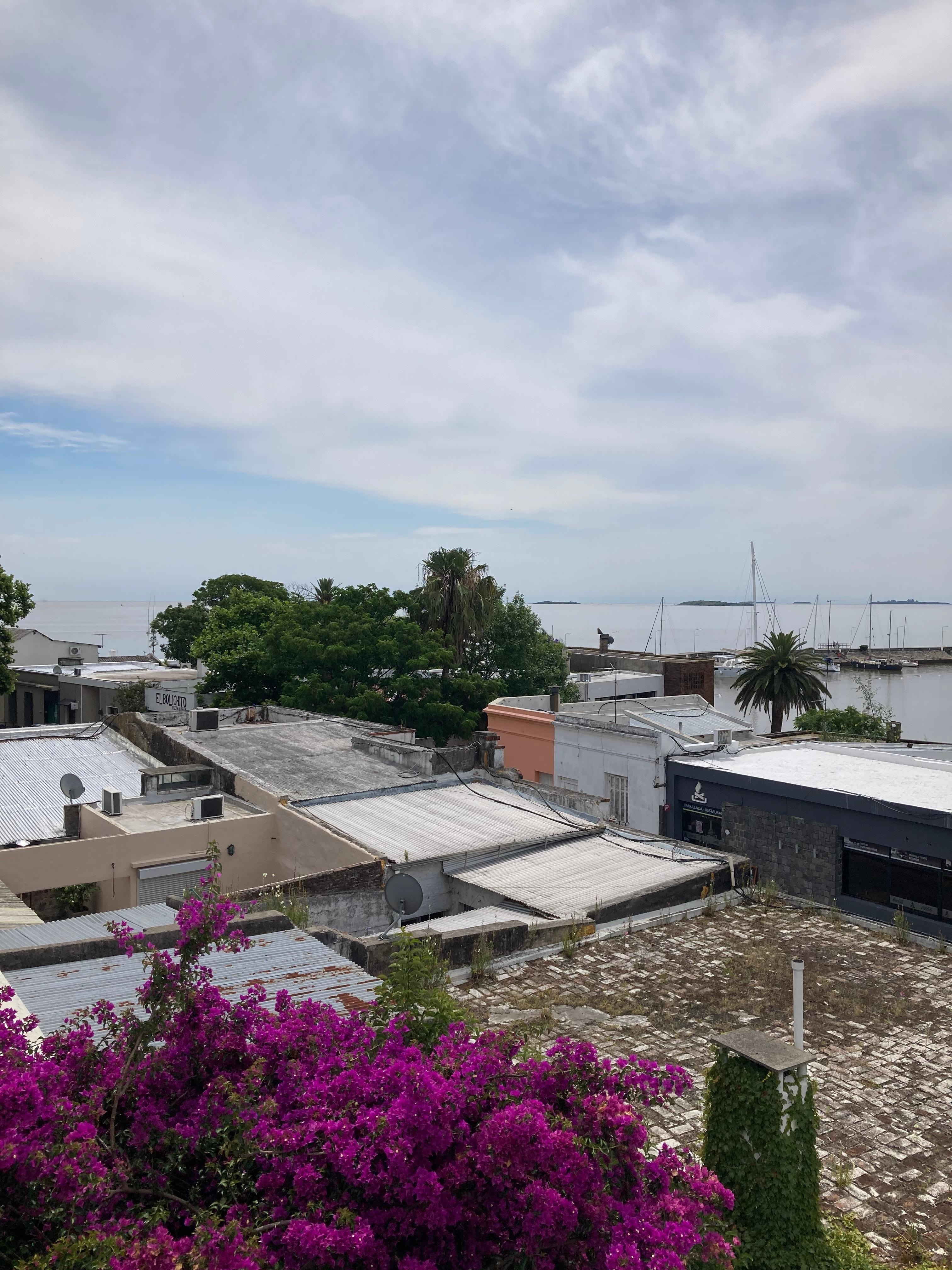 View of the River Plat from the common roof deck.