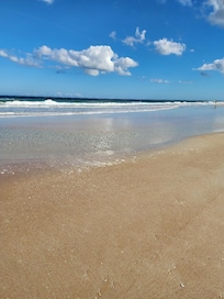 This is the nicest area on the Daytona beach strip. Perfect for beach walks, or gardens (if you walk the Peninsula drive).