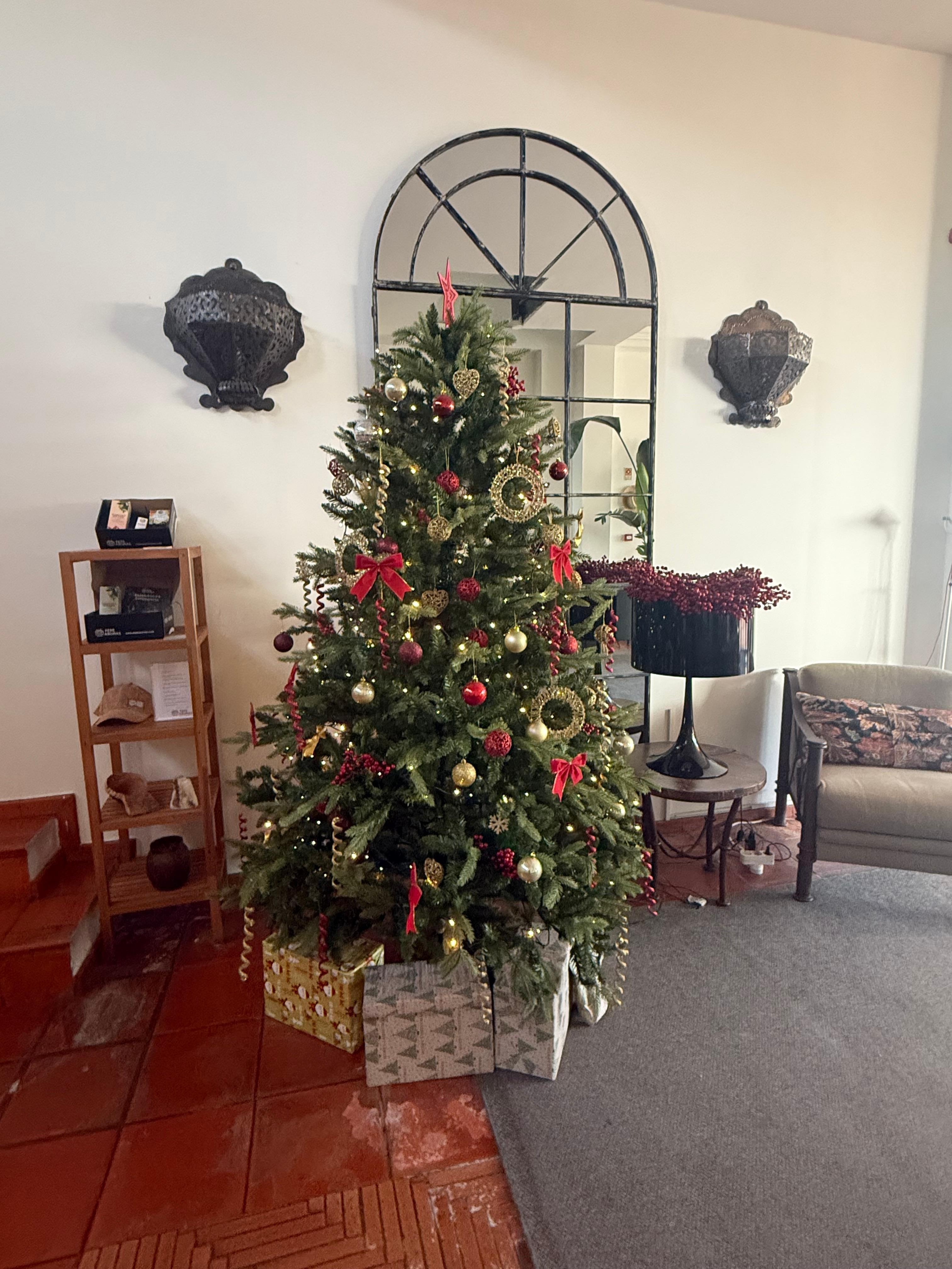 Beautiful at Christmas 