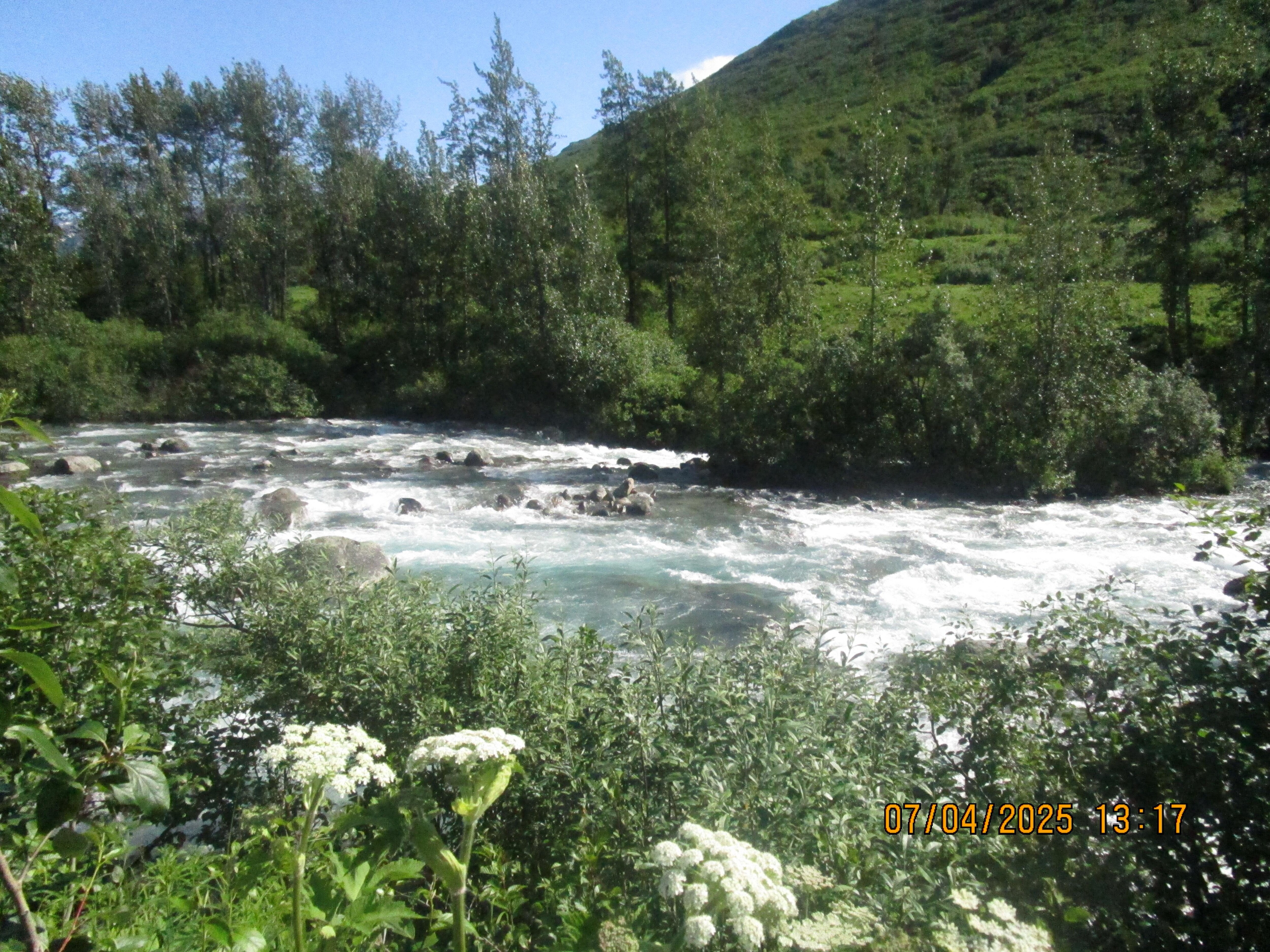 Stream on our drive up to Hatchers pass.