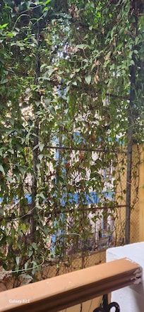 View from the junior suite with resort view