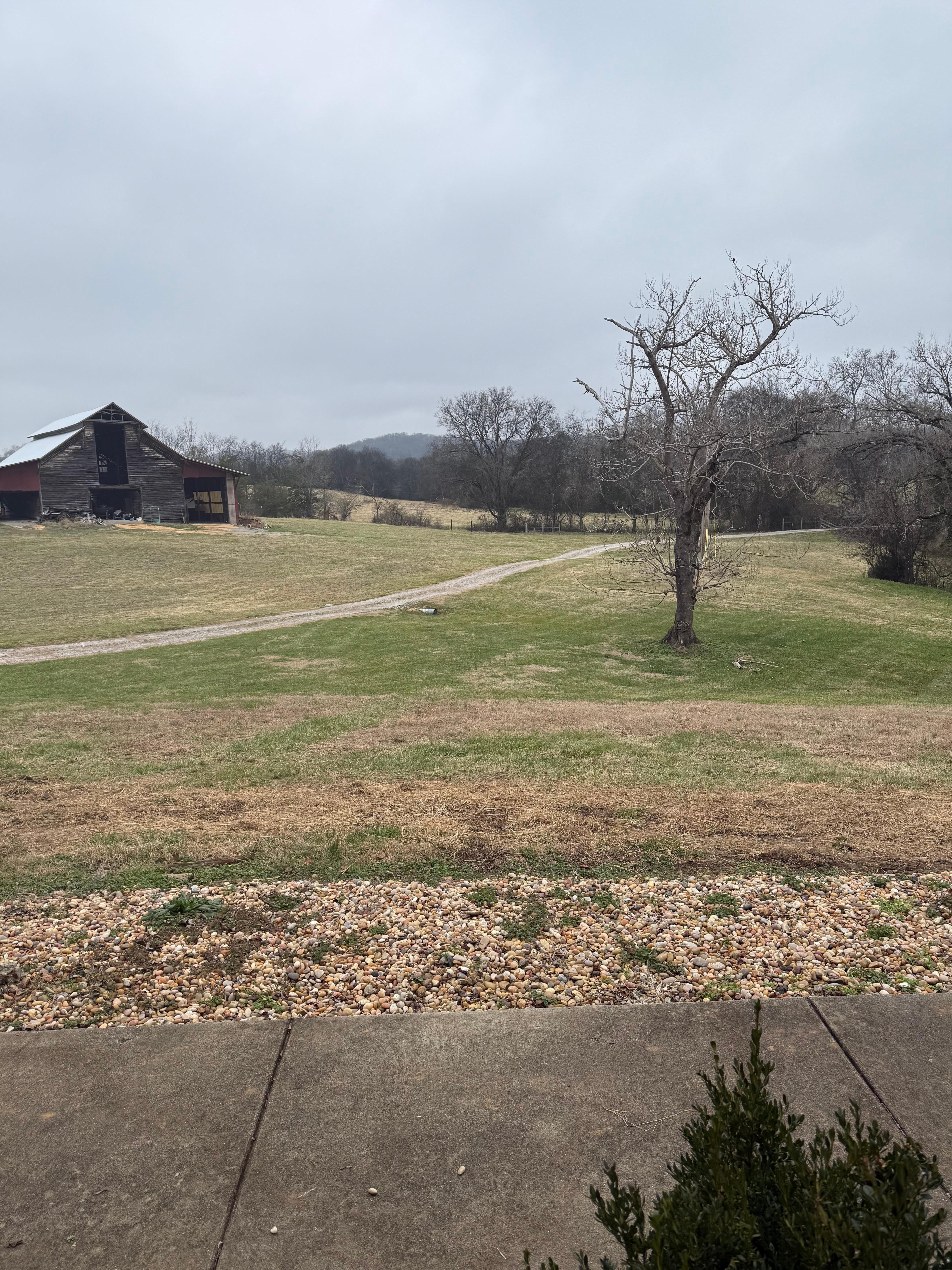 From the front porch