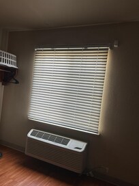 No curtains