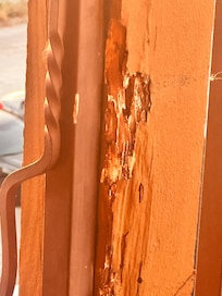 More termites