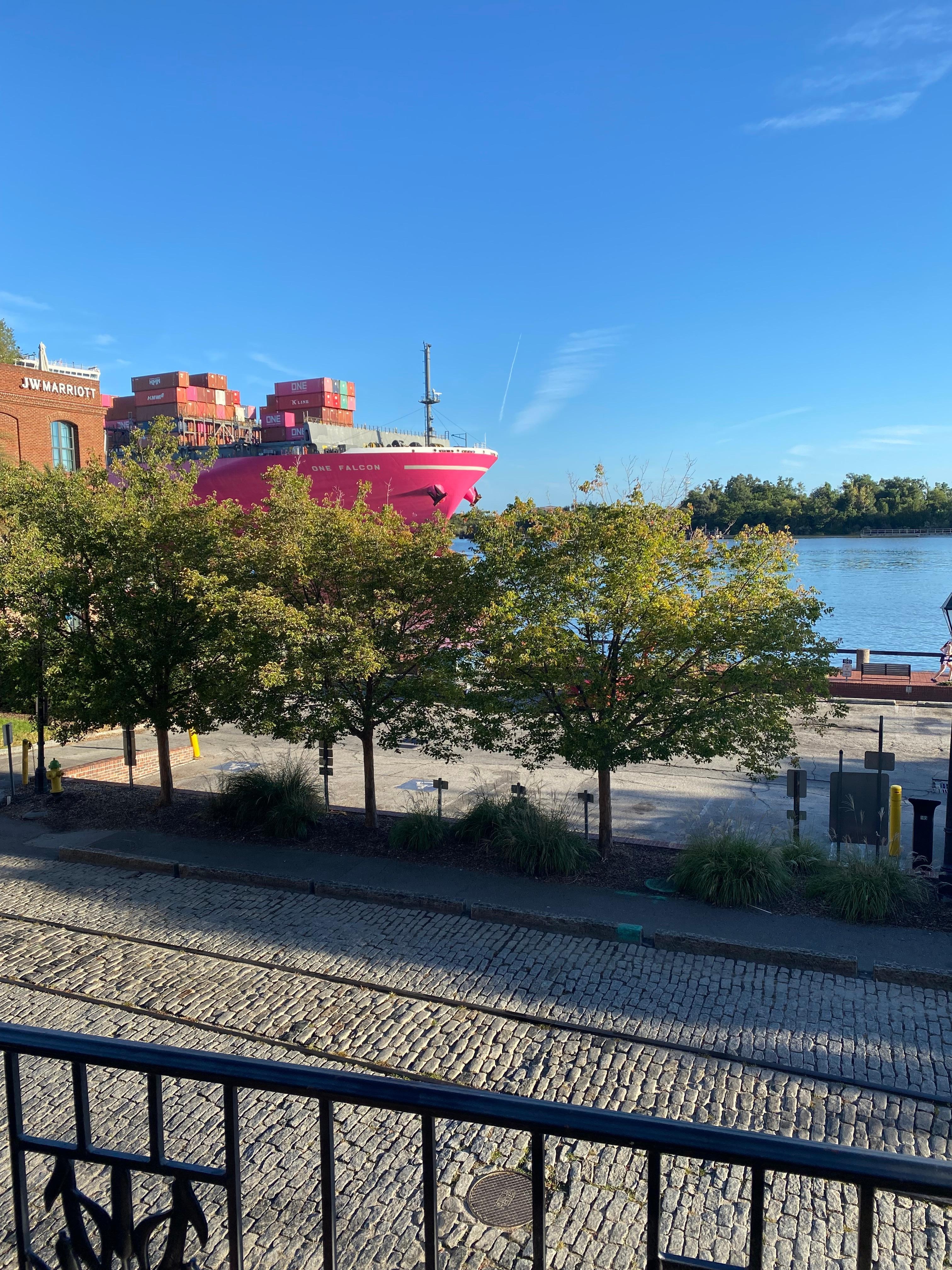 View looking out from the balcony 