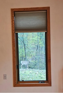 A morning visitor!