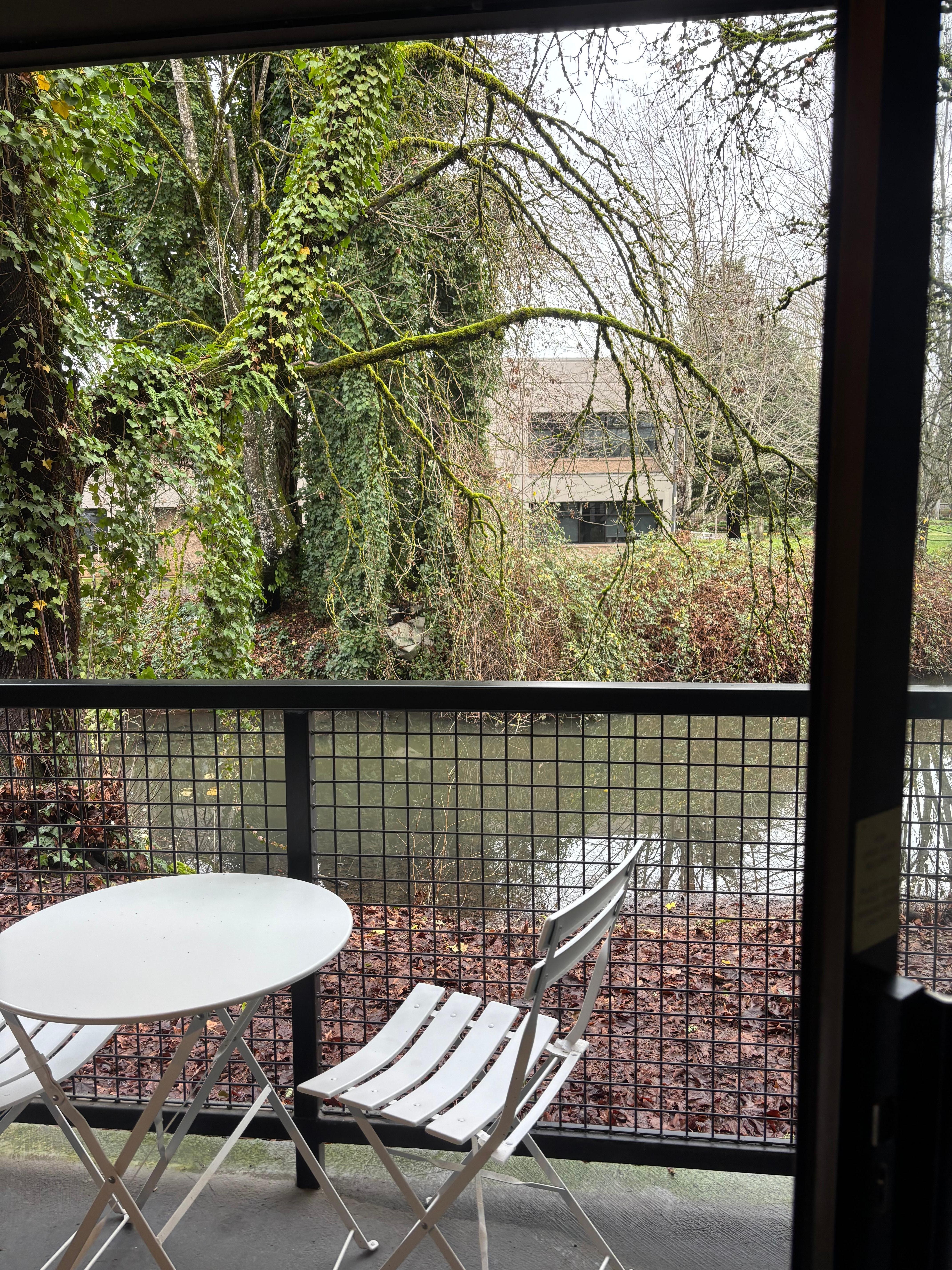 Little patio overlooking a creek. 