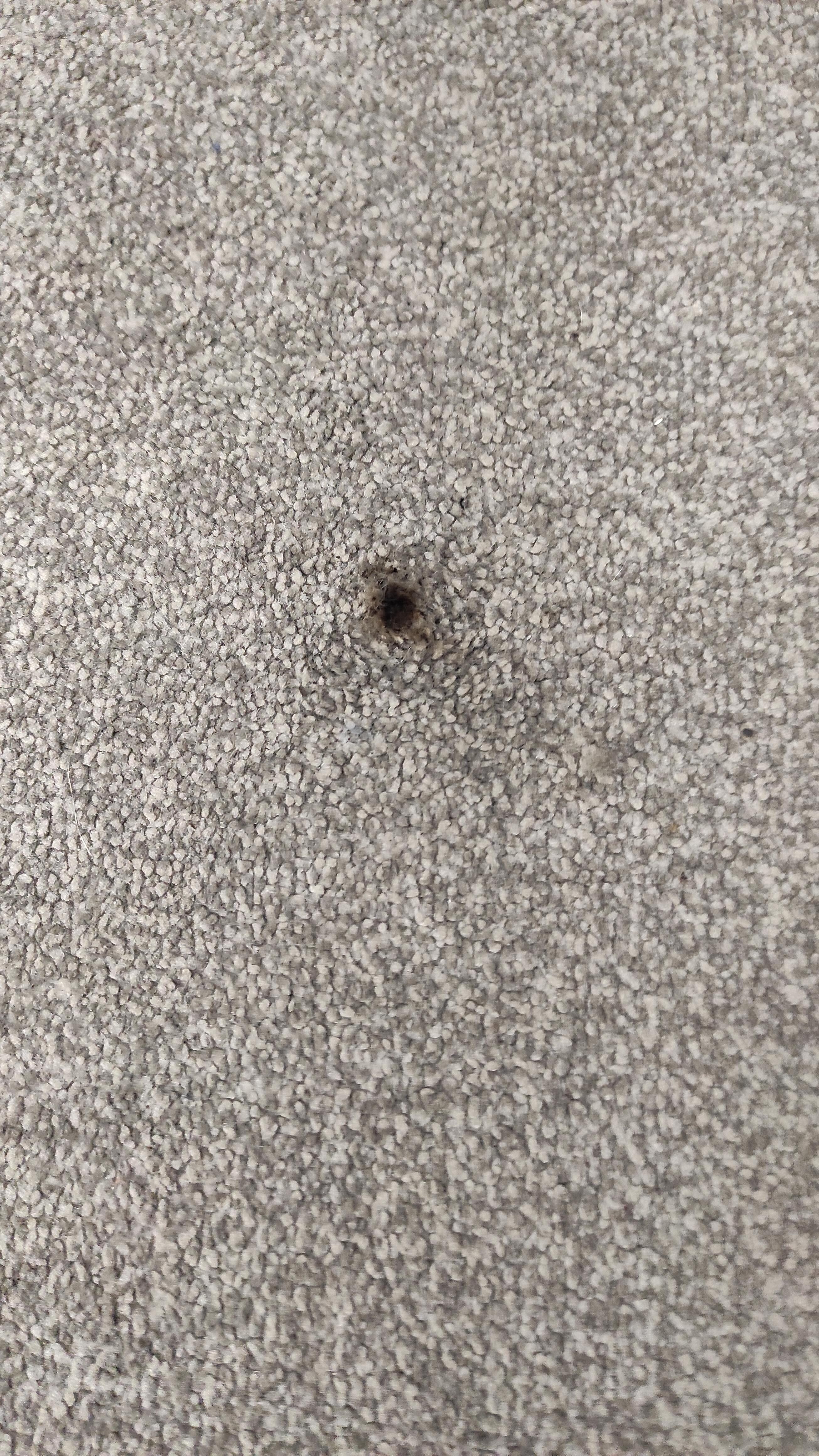 Very ugly spot in the middle of the carpet. Approx 15mm across.