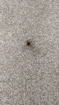 Very ugly spot in the middle of the carpet. Approx 15mm across.