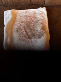 Towel that we placed on the soiled couch