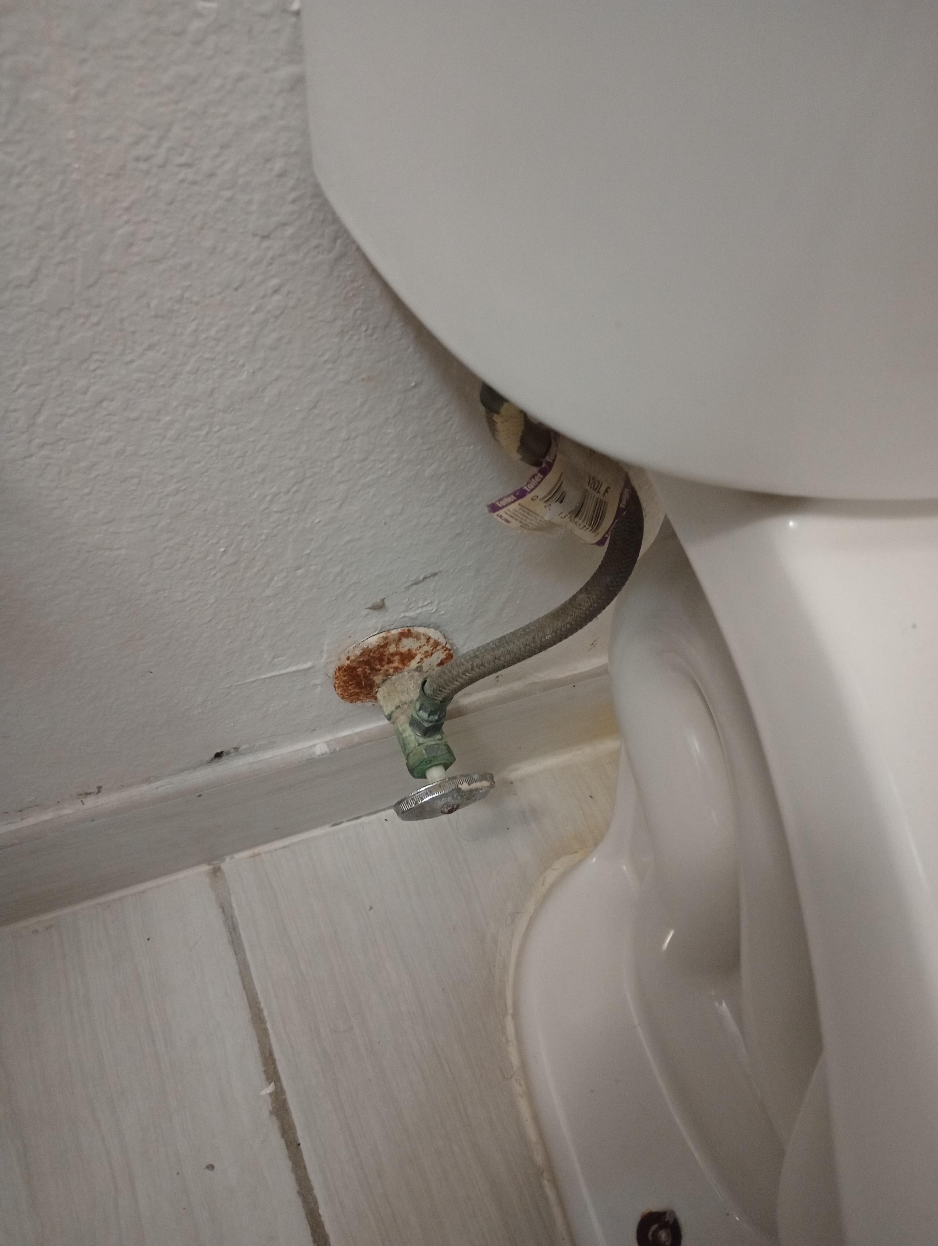 Back of toilet