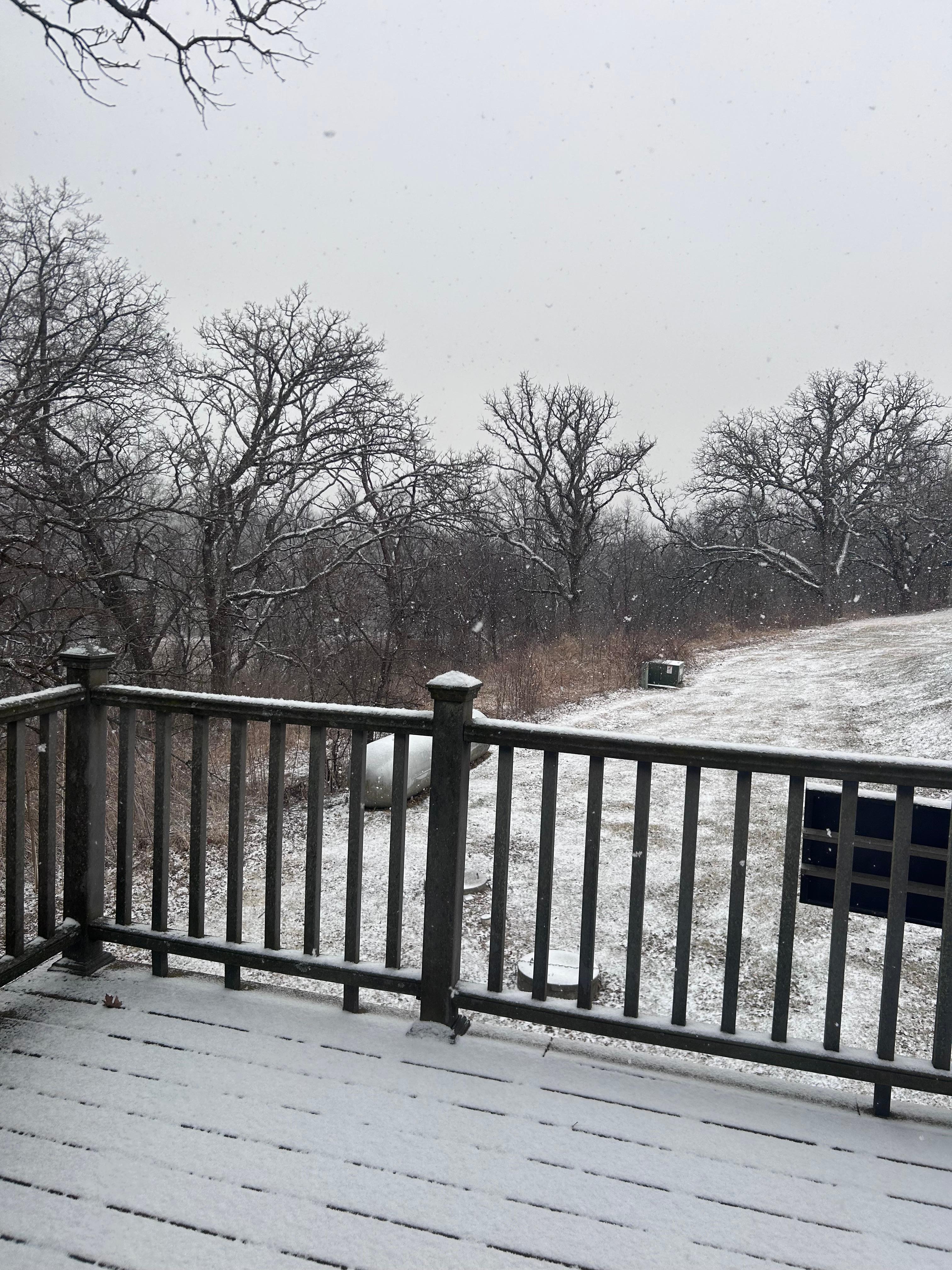 Beautiful view nestled into the woods. 