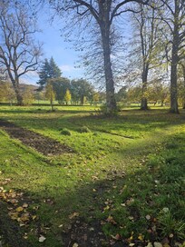 Beautiful park at the side of the hotel creating a beautiful back drop for a autumn setting 😀