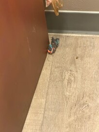 I can’t upload the nasty towels or shower