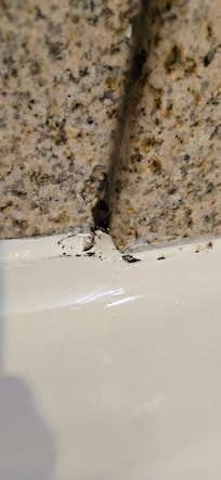 More mold in tub