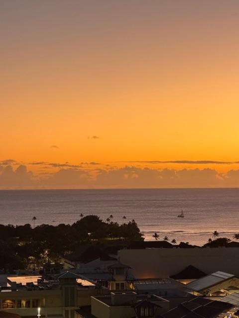 Perfect view out of the window of condo!