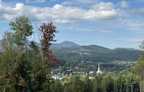 The village of Stowe from down Stowe Hollow Rd.