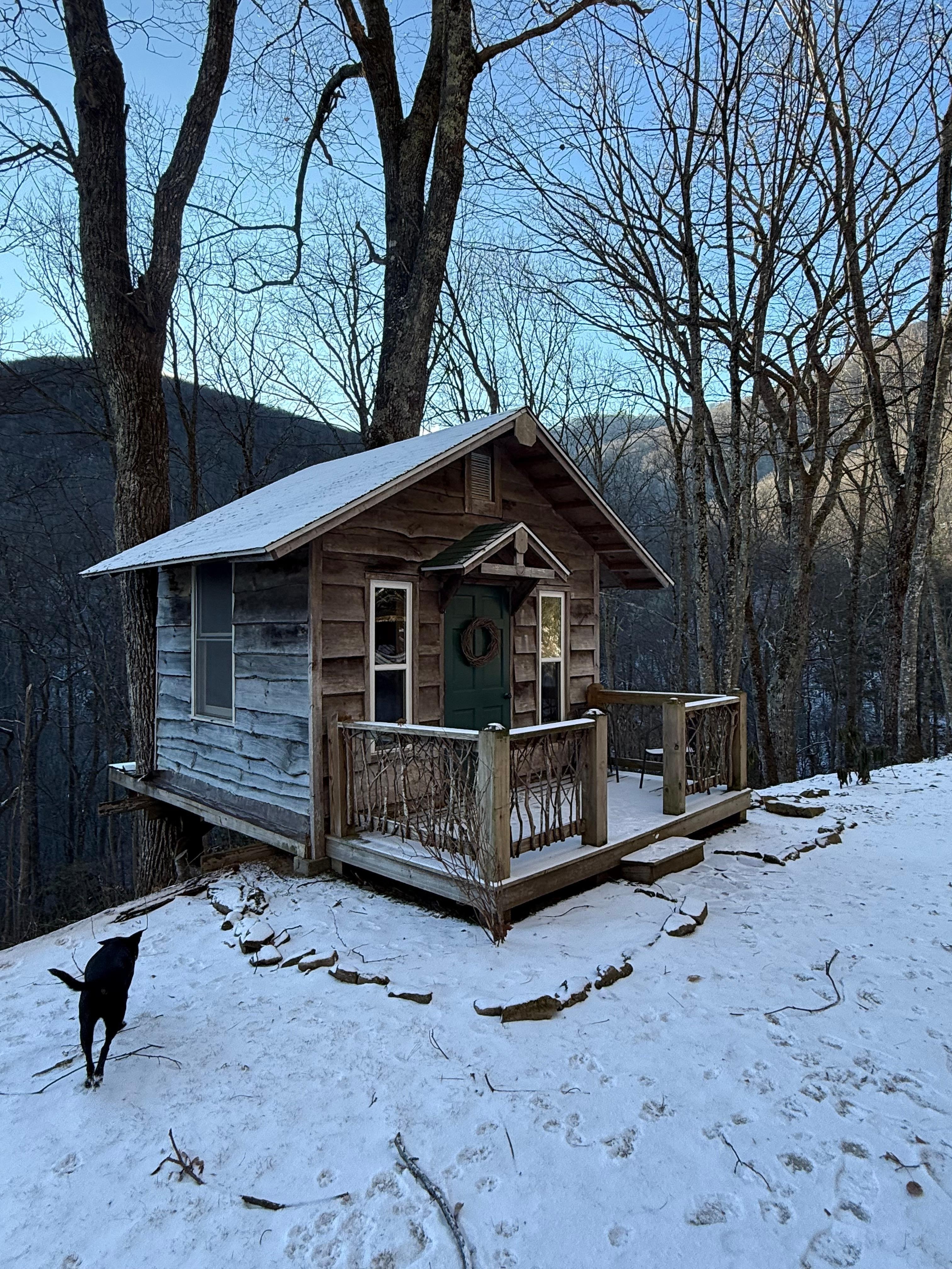 Our puppy checking out the bunkhouse