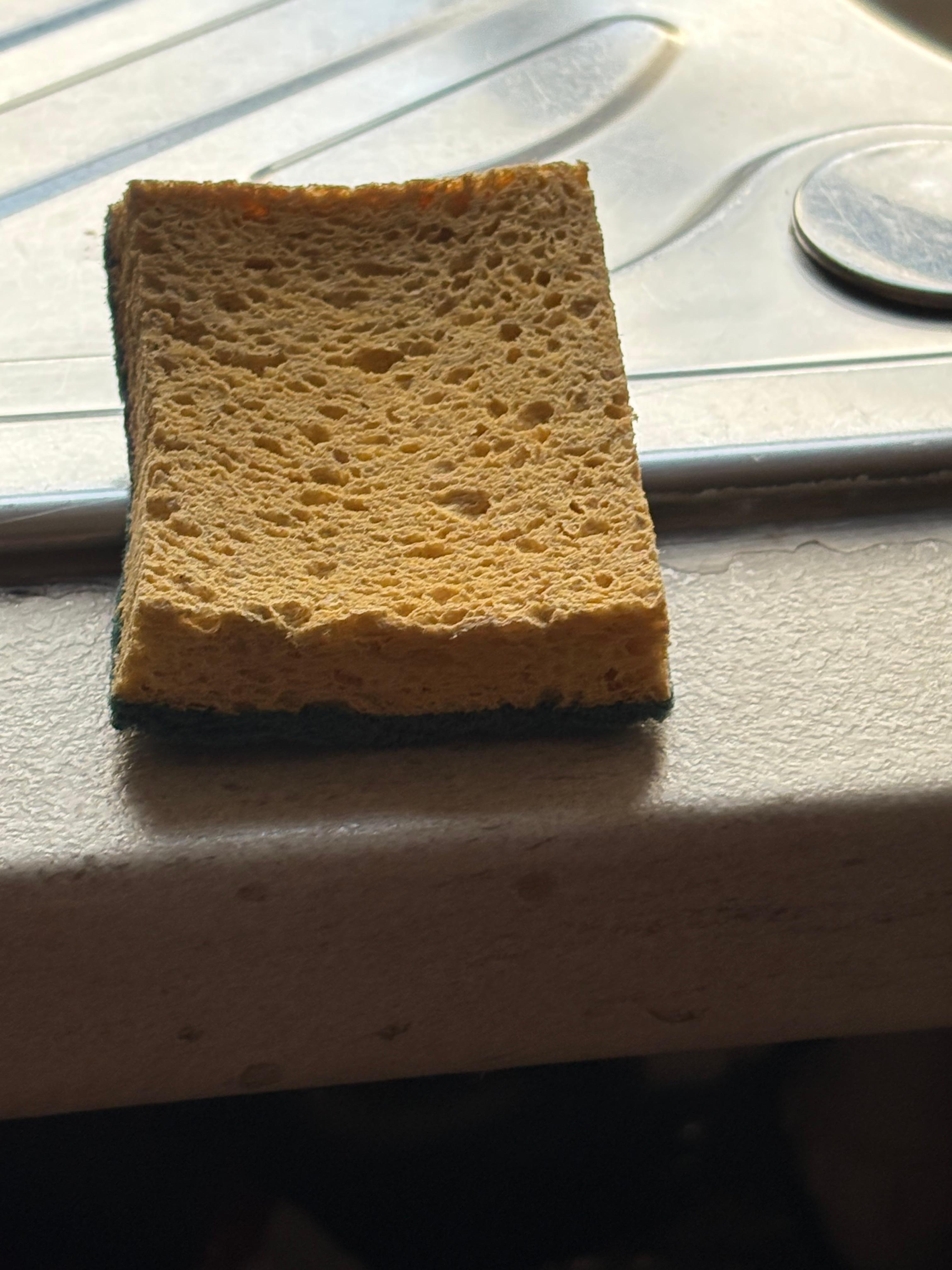 Filthy cloth on sink 