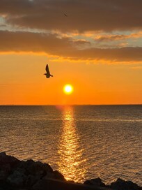 Nightly view from the beach on site.