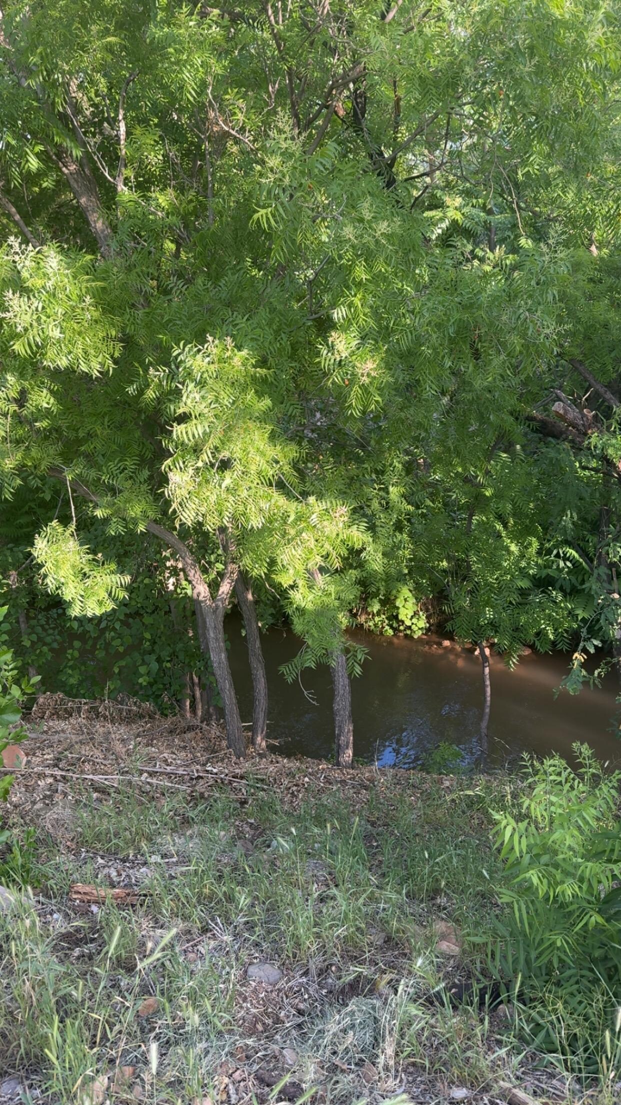 Creek right outside