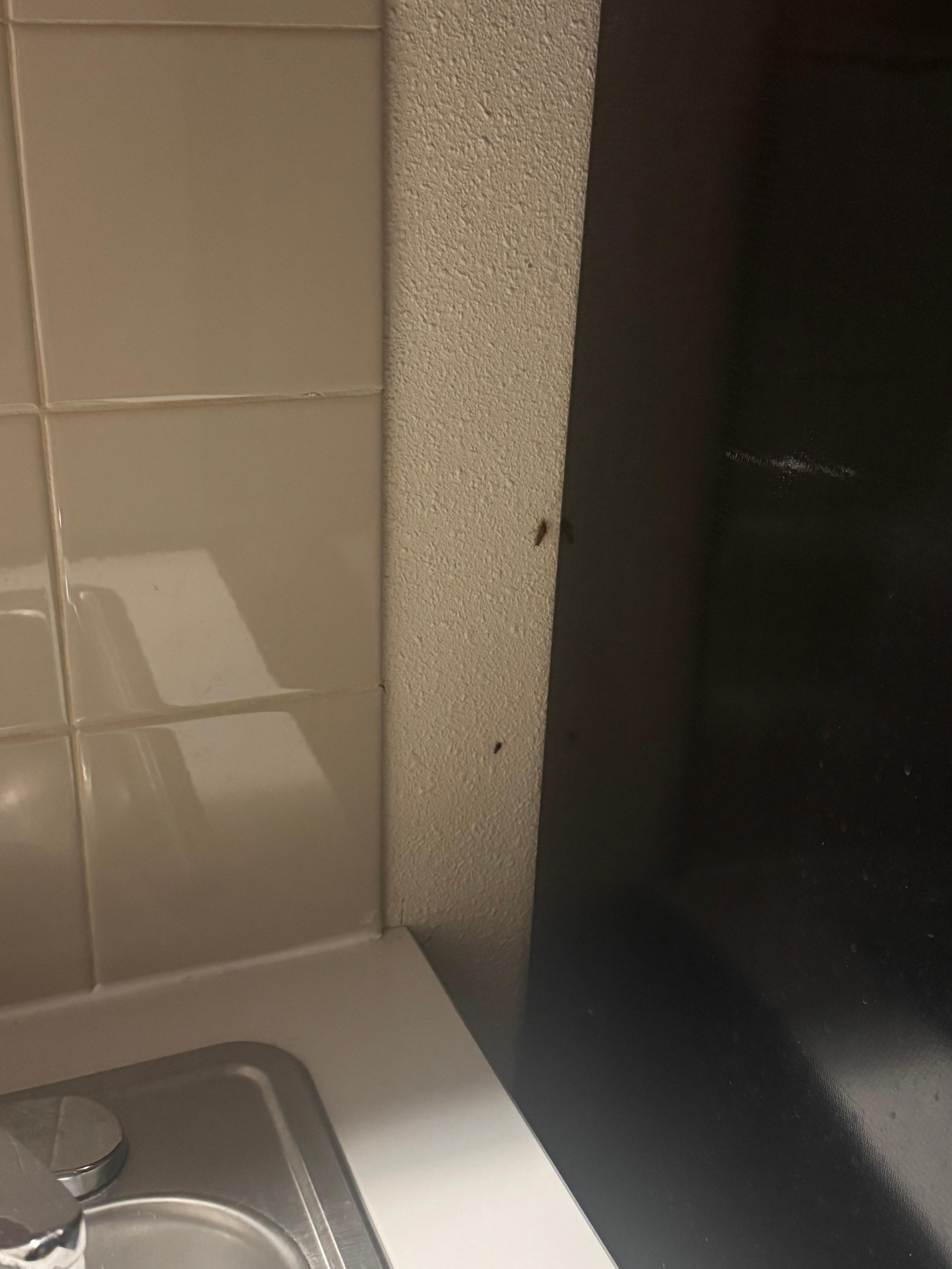 2 Roaches by the fridge that front desk said I lied about.