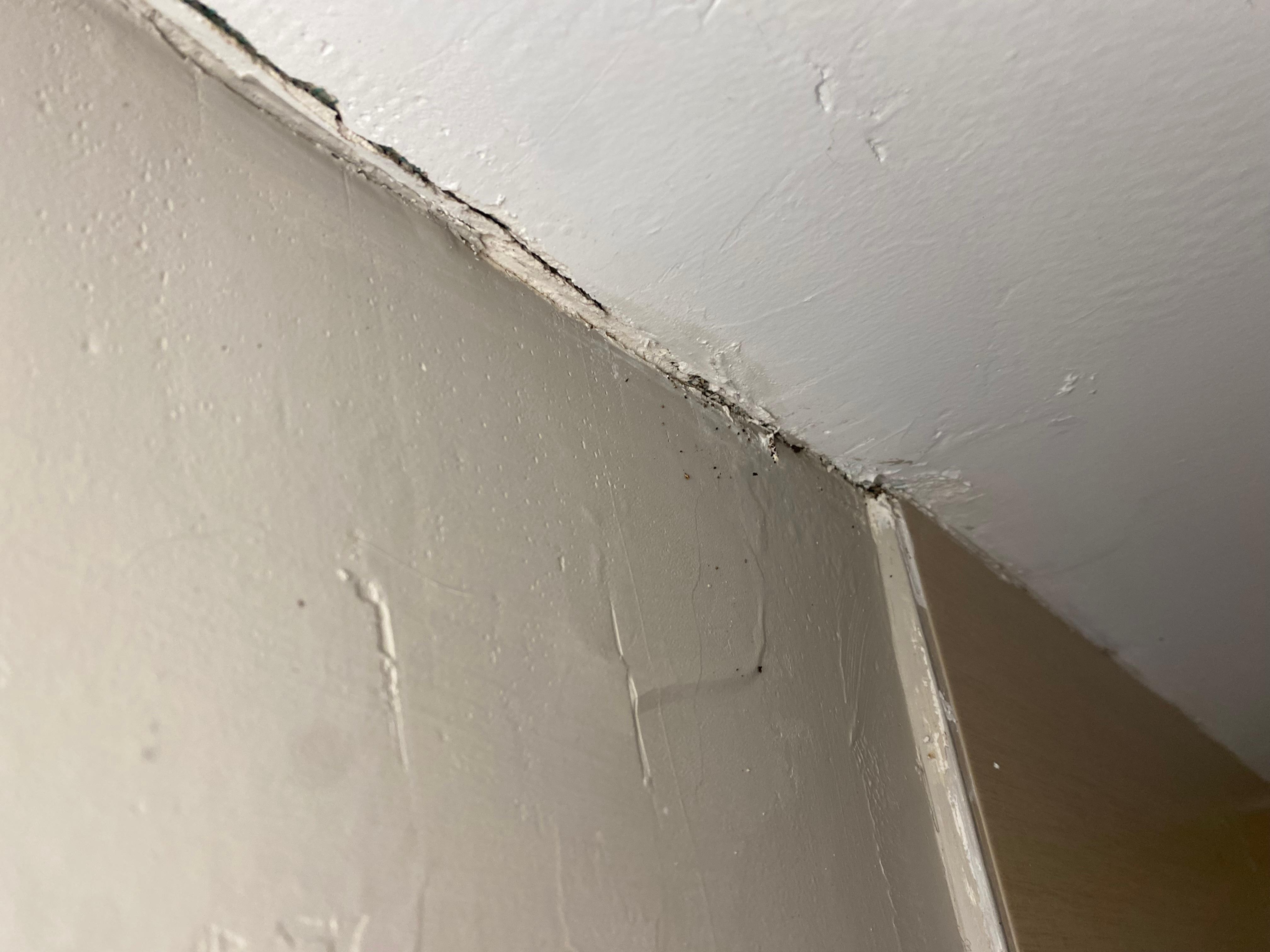 Cracks in the walls and chipped paint 