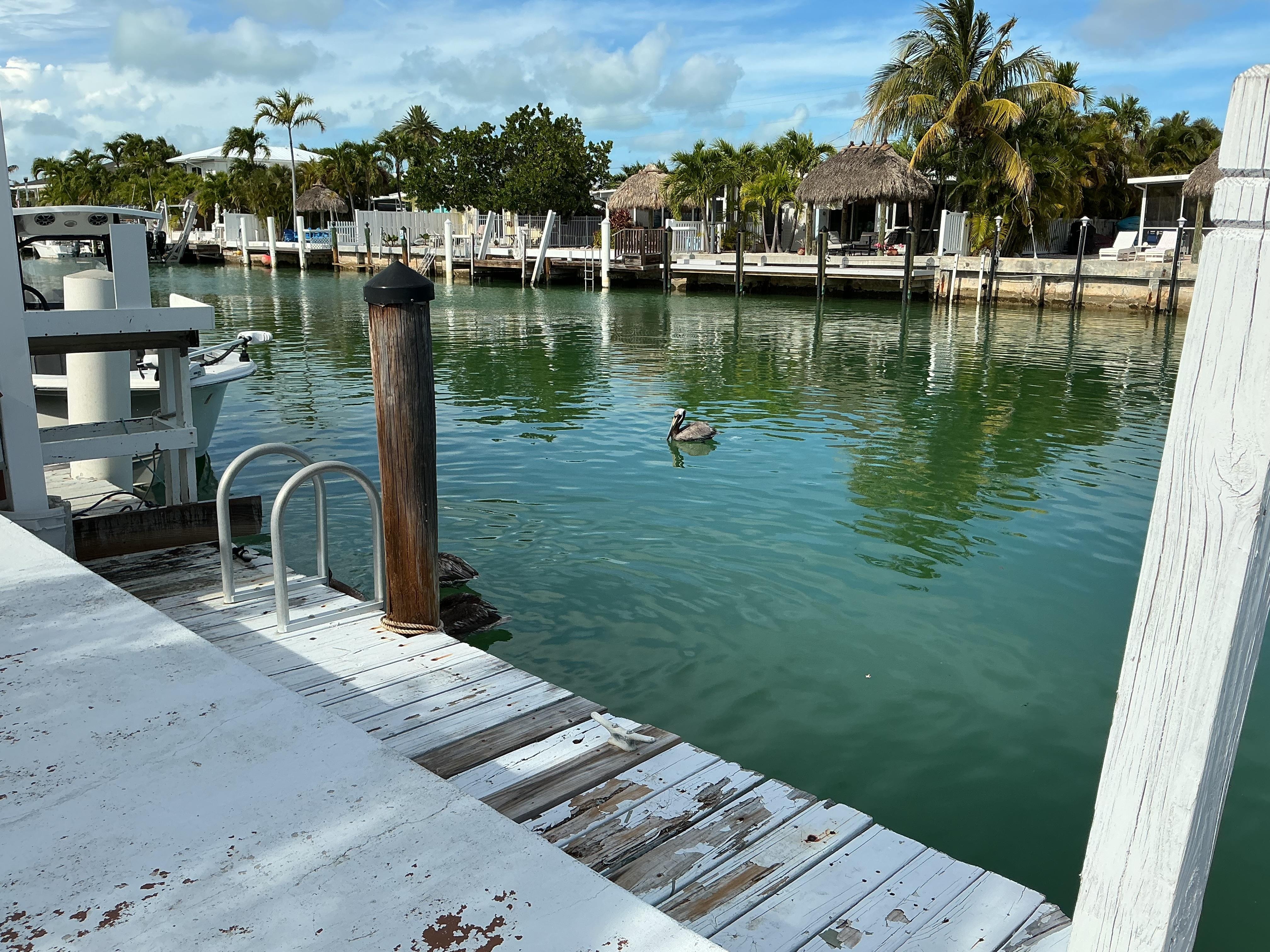 Back porch looking at water way.