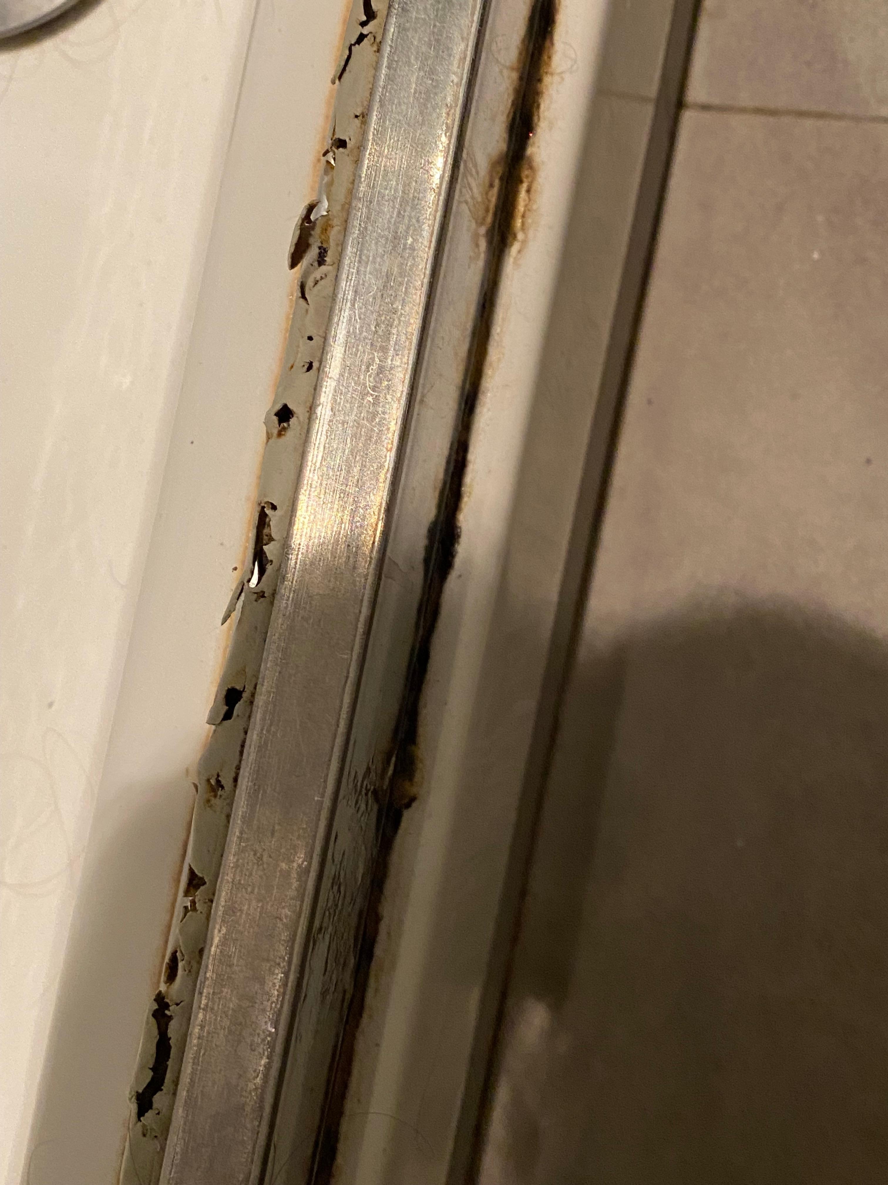shower rubber seal