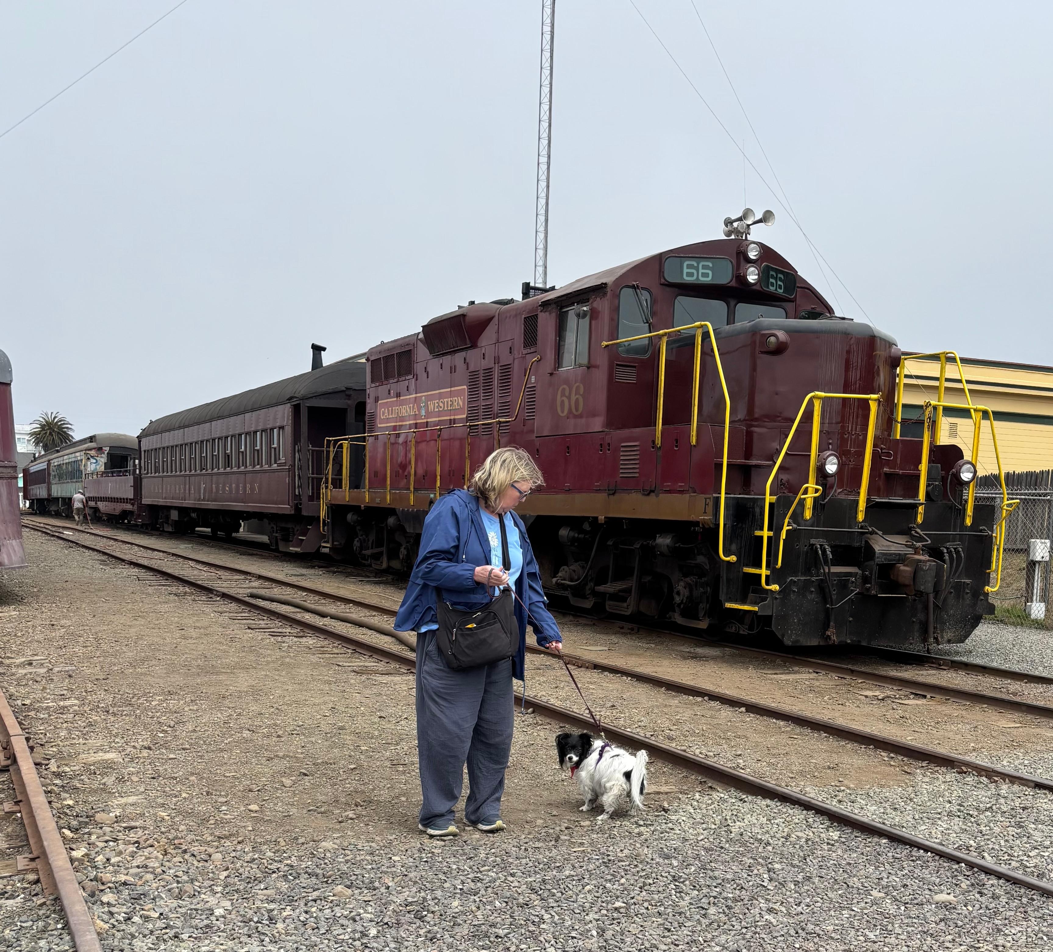 Lori and Daisy and the Skunk Train