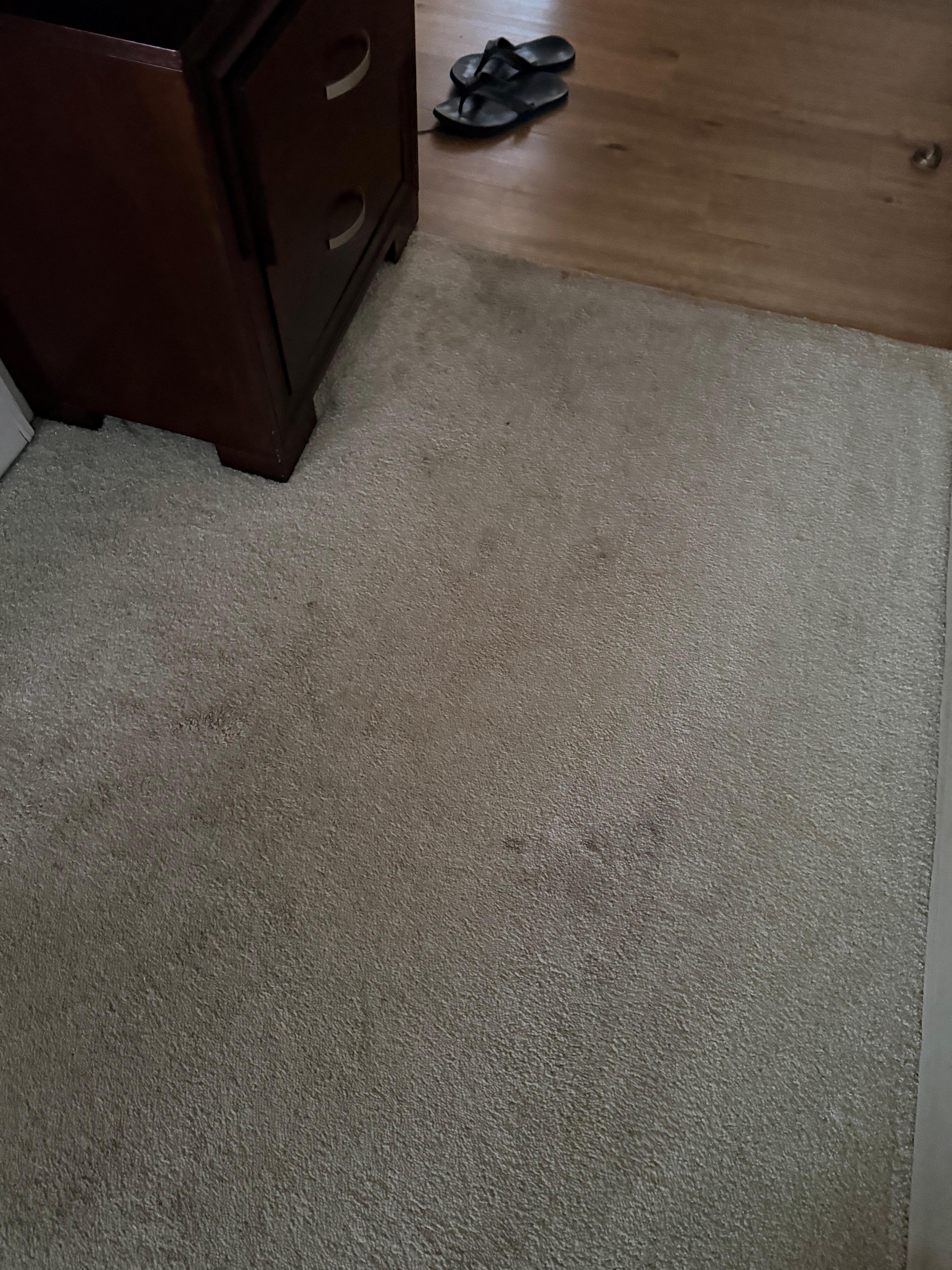 Dirt in the carpet felt gross stepping on especially as owners said no shoes 