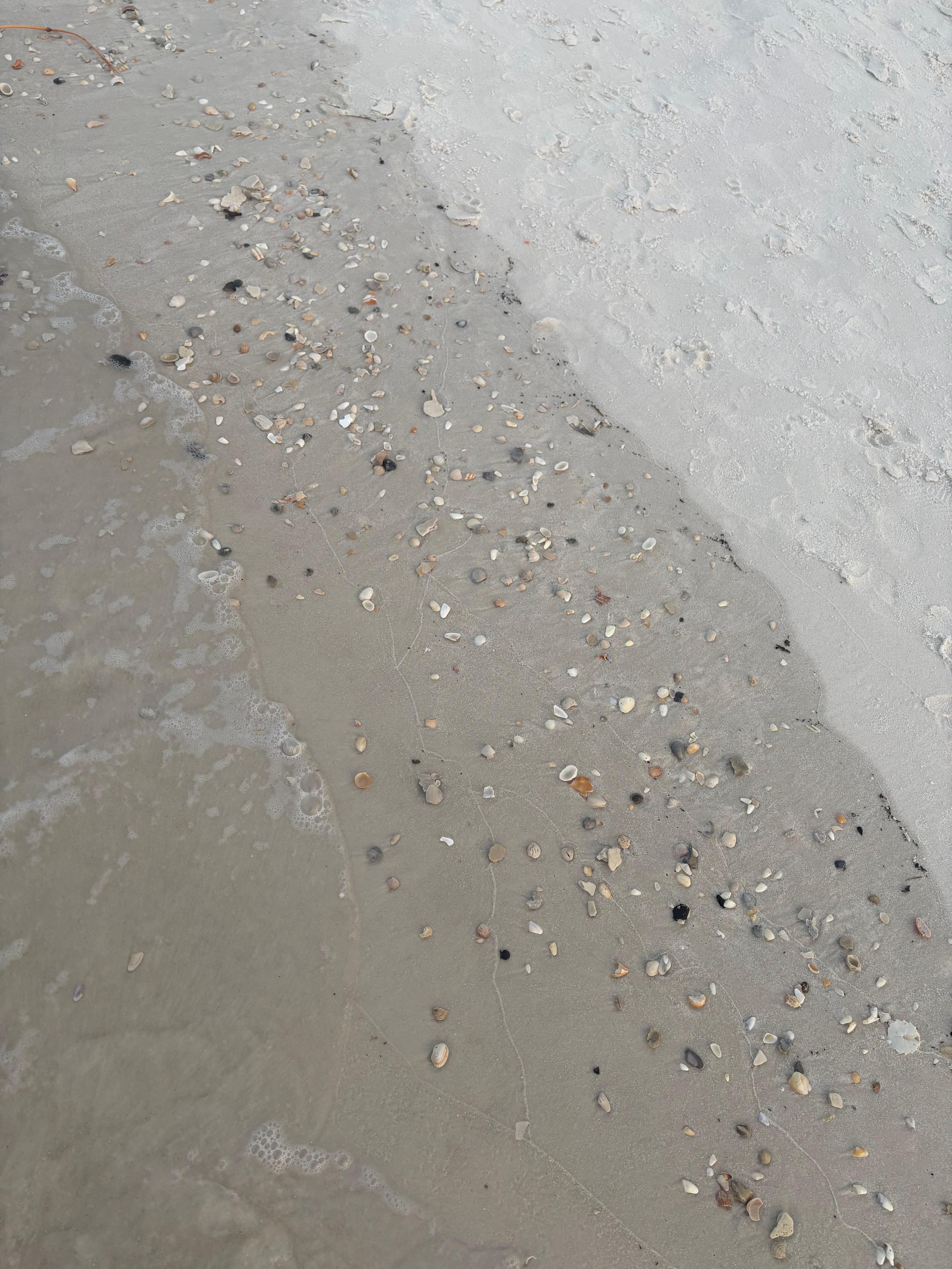 Morning walk on the beach