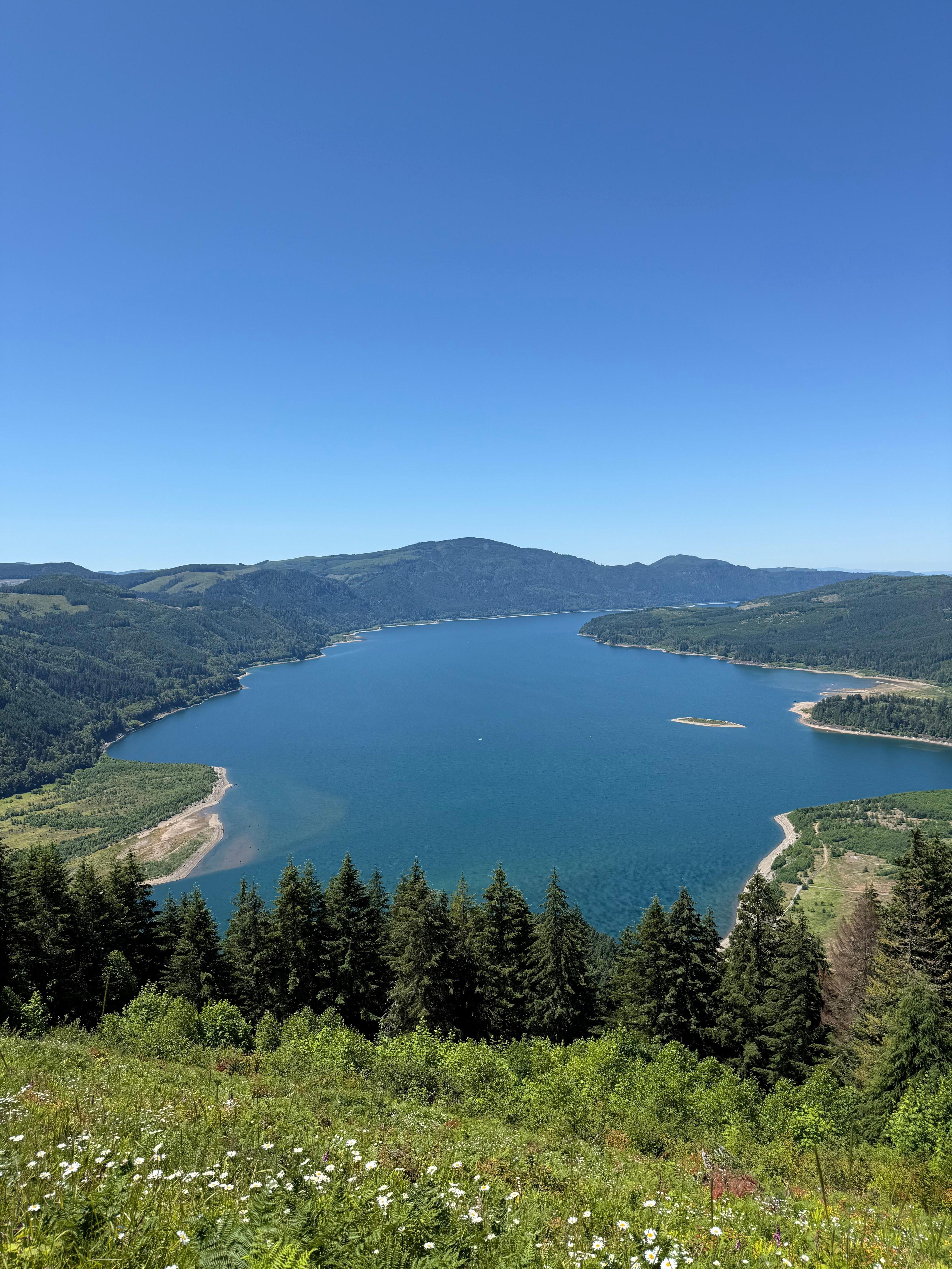 Dog Mountain view
