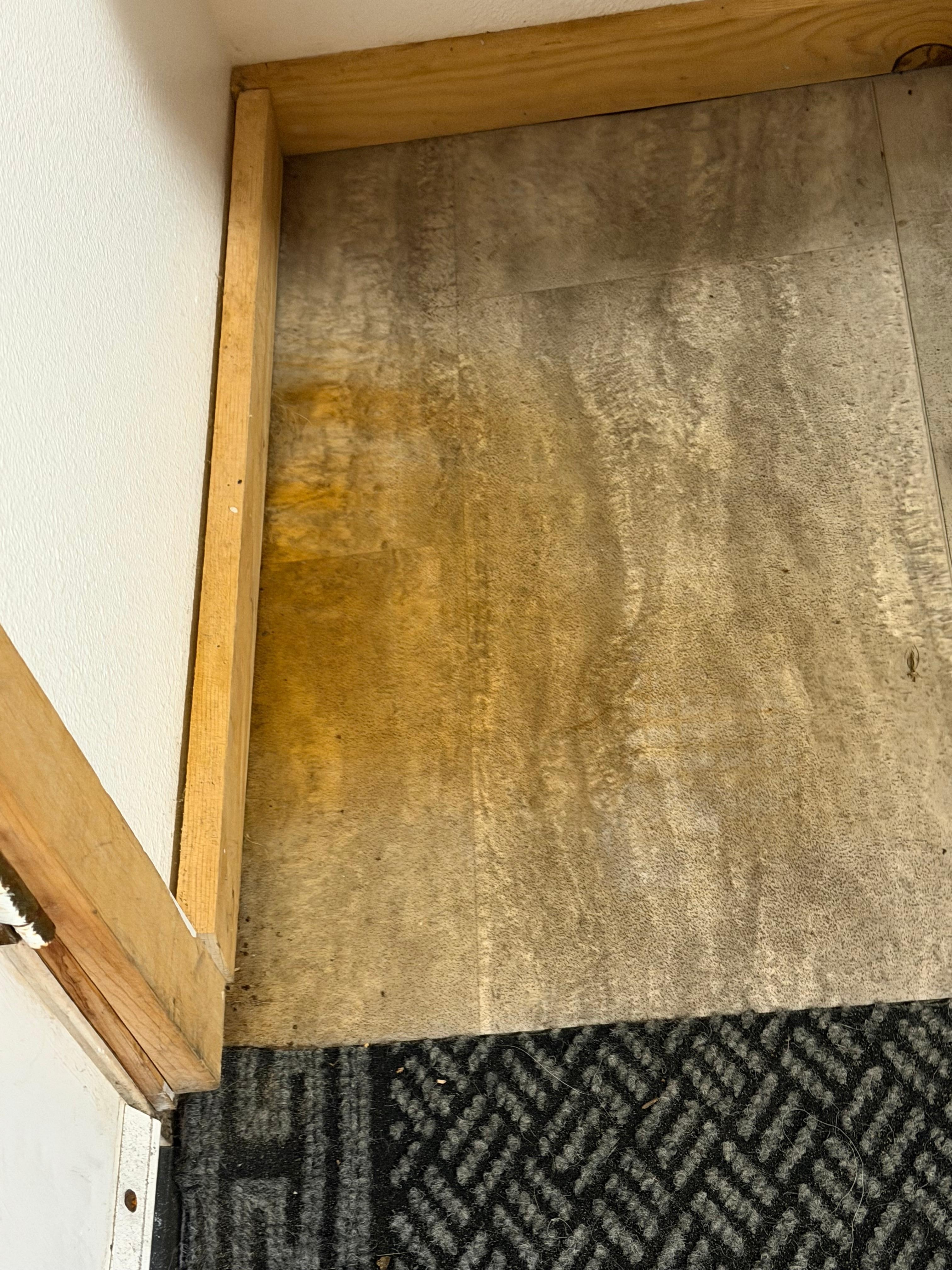 Stain by front door 